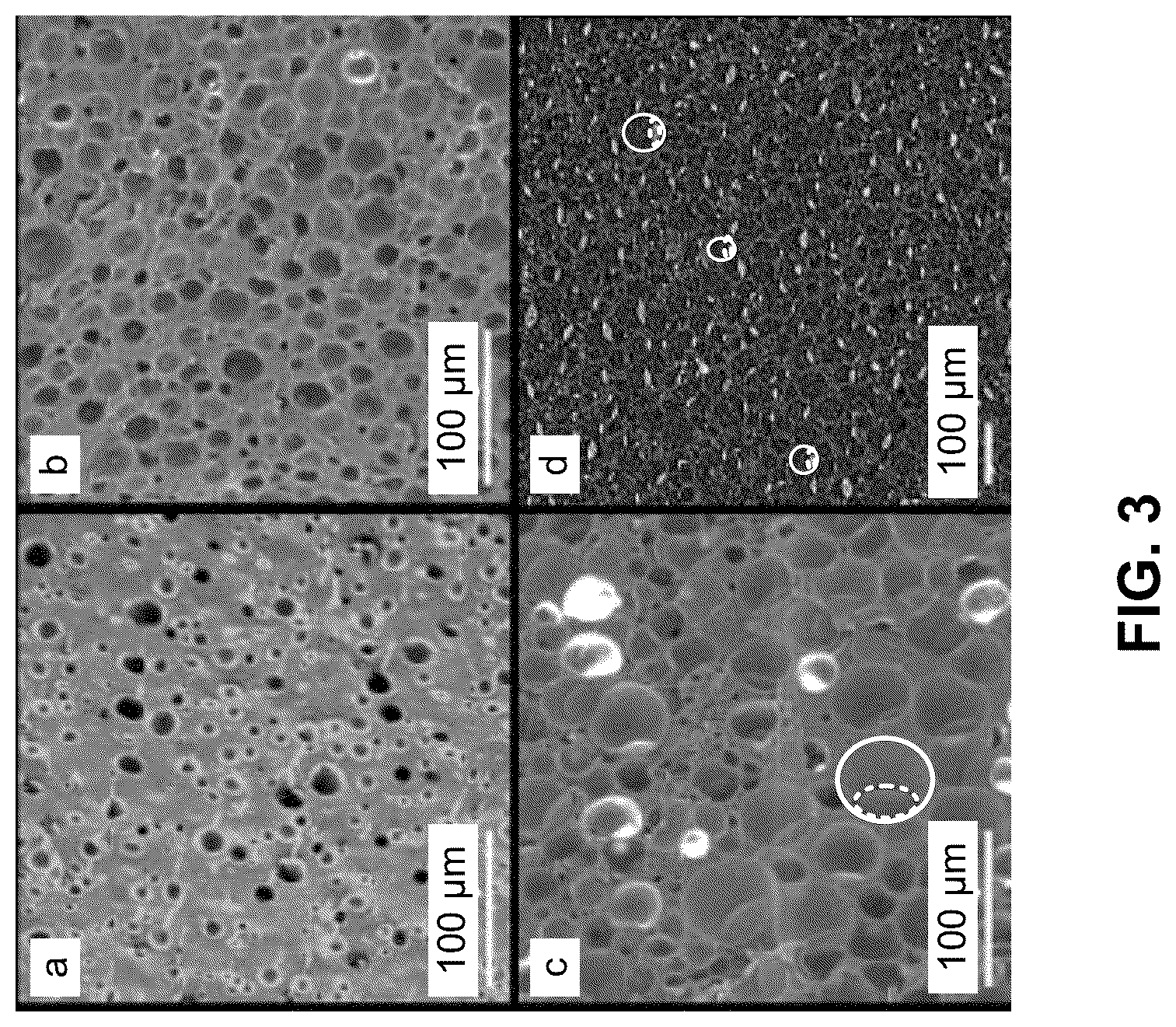 Patent US12410282 Figure 3 – Transparent polymer aerogels