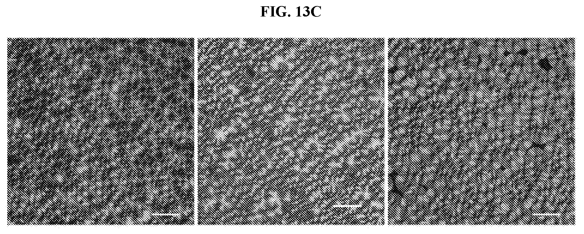 Patent US12410283 Figure 13 – Photopolymerizable thermoplastics and methods of making and using same