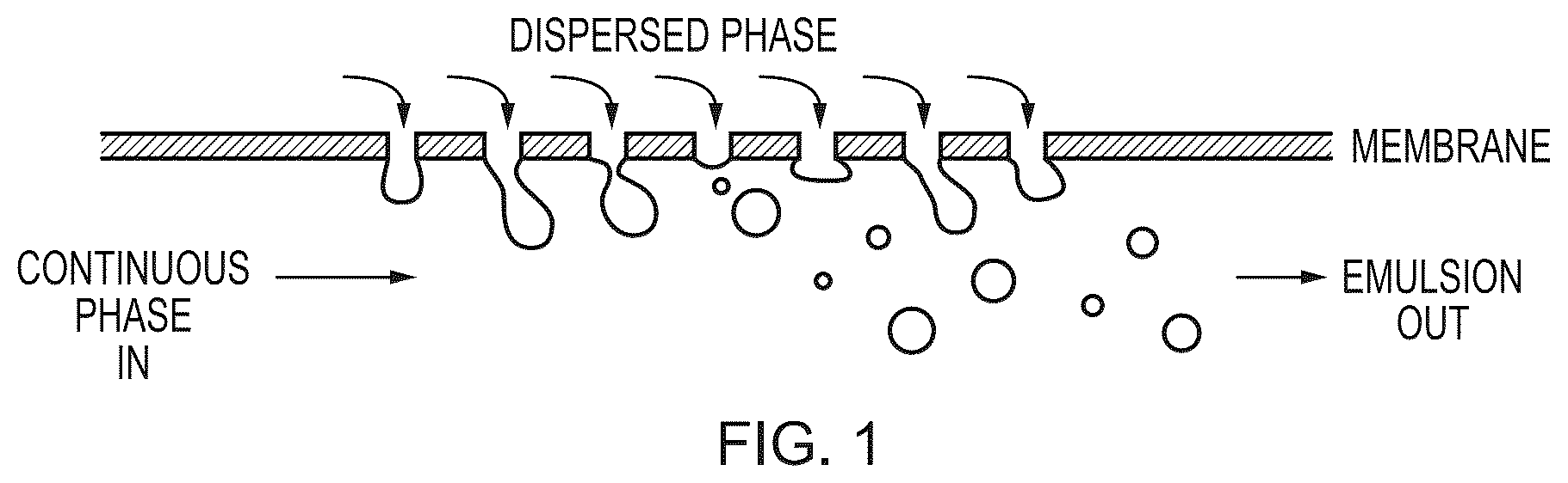 Patent US12410285 Figure 1 – Biopolymer particle preparation