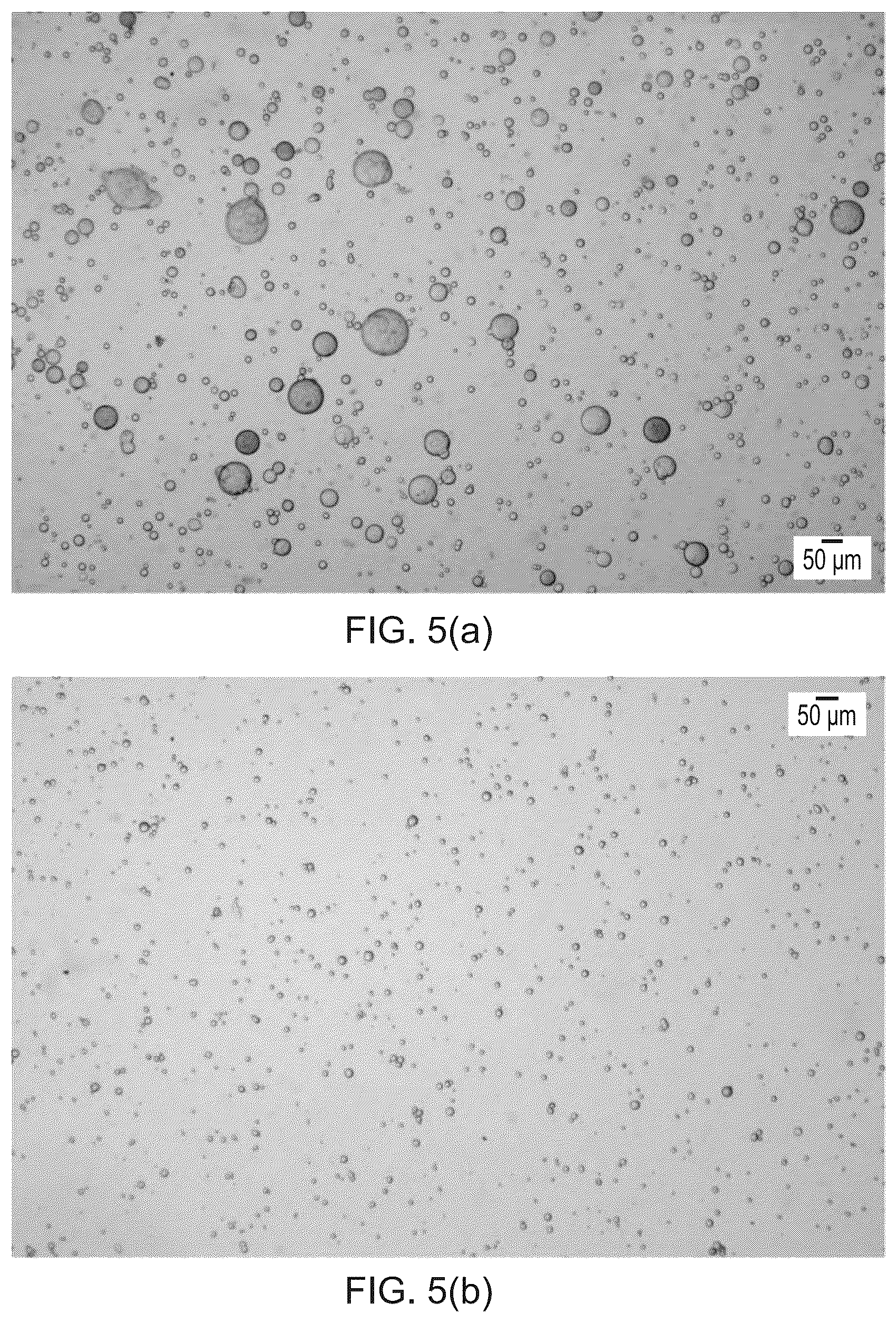 Patent US12410285 Figure 5 – Biopolymer particle preparation
