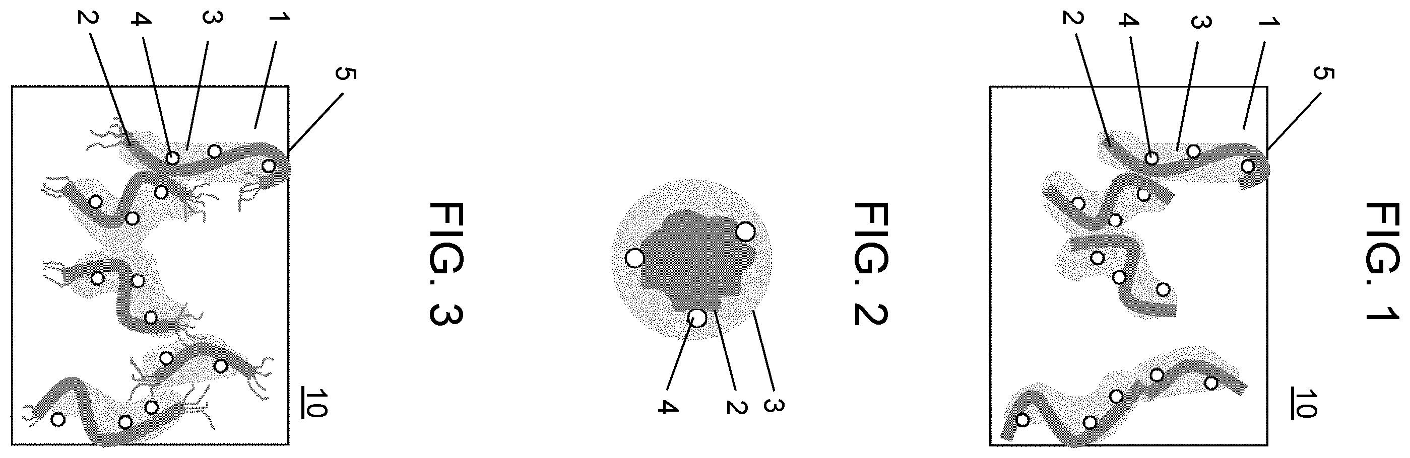 Patent US12410287 Figure 1 – Composite resin molded product with adjusted decomposition rate, and production method therefor