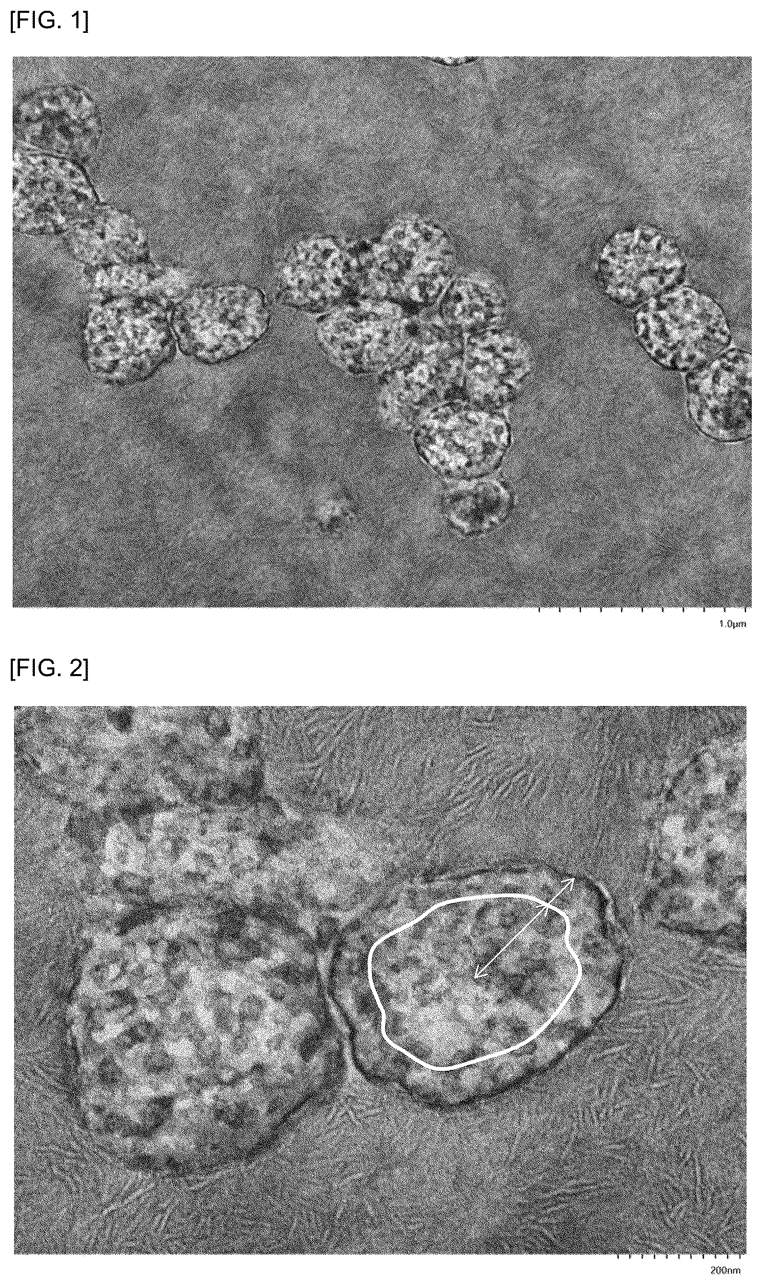 Patent US12410311 Figure 1 – Resin composition and multilayered structure using same