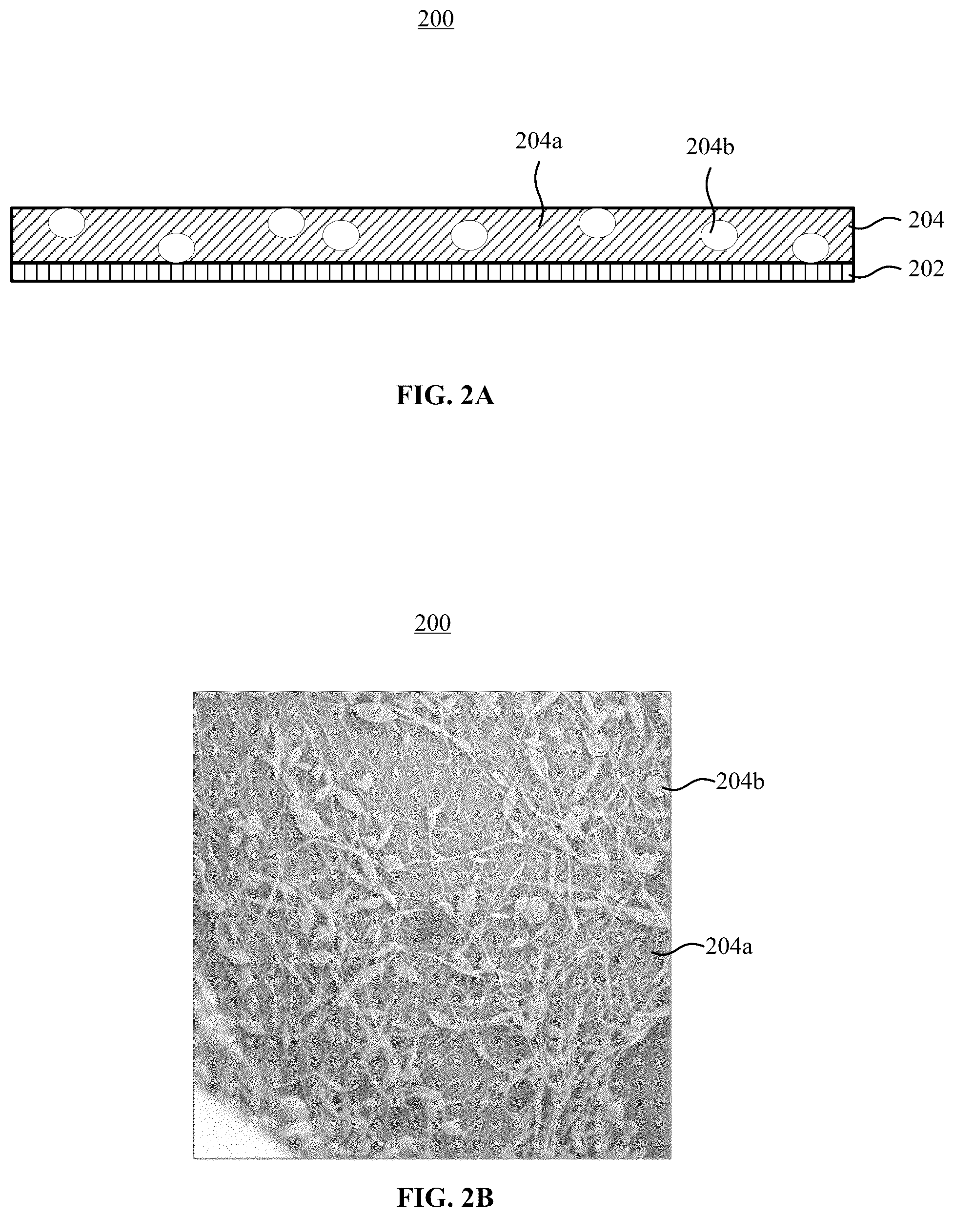 Patent US12410315 Figure 2 – Biodegradable air filtering film and method for manufacturing same