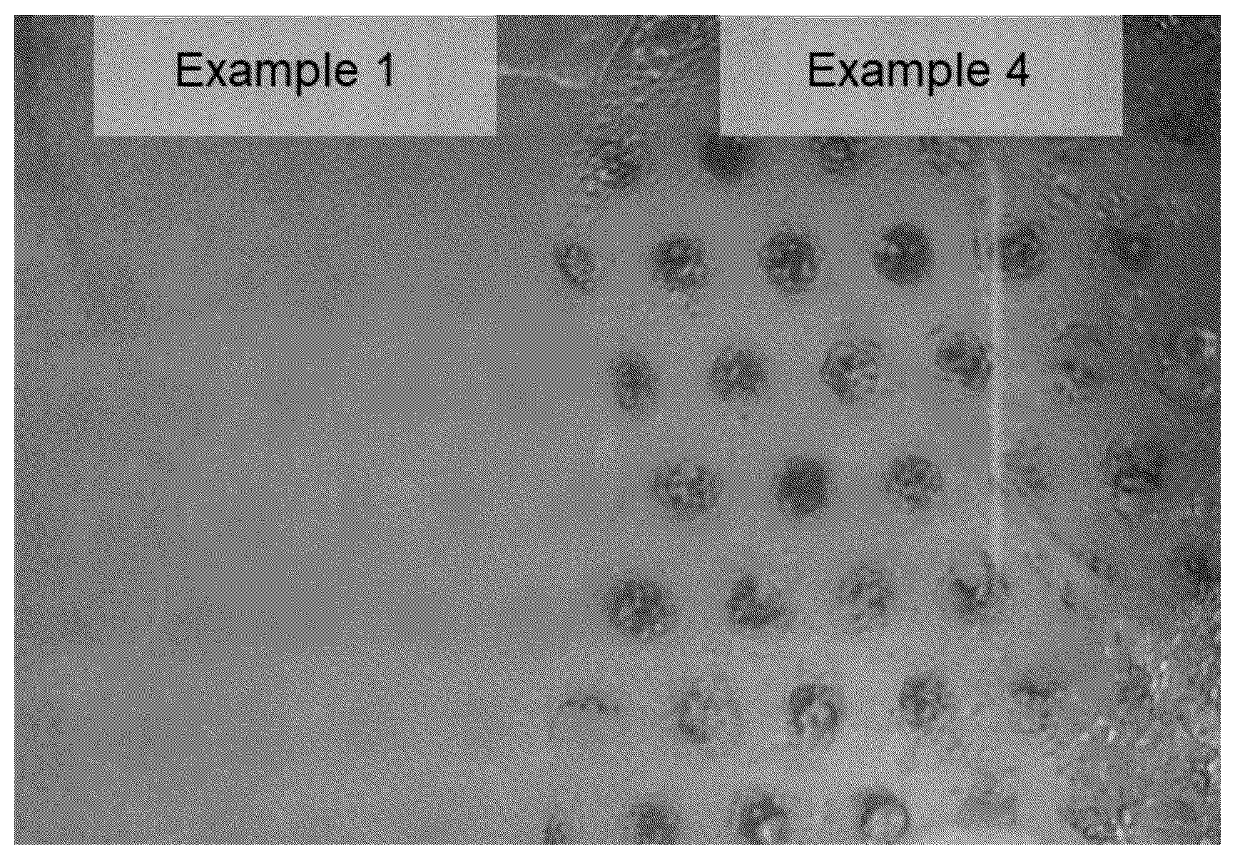 Patent US12410322 Figure 1 – Antibacterial polymer composition