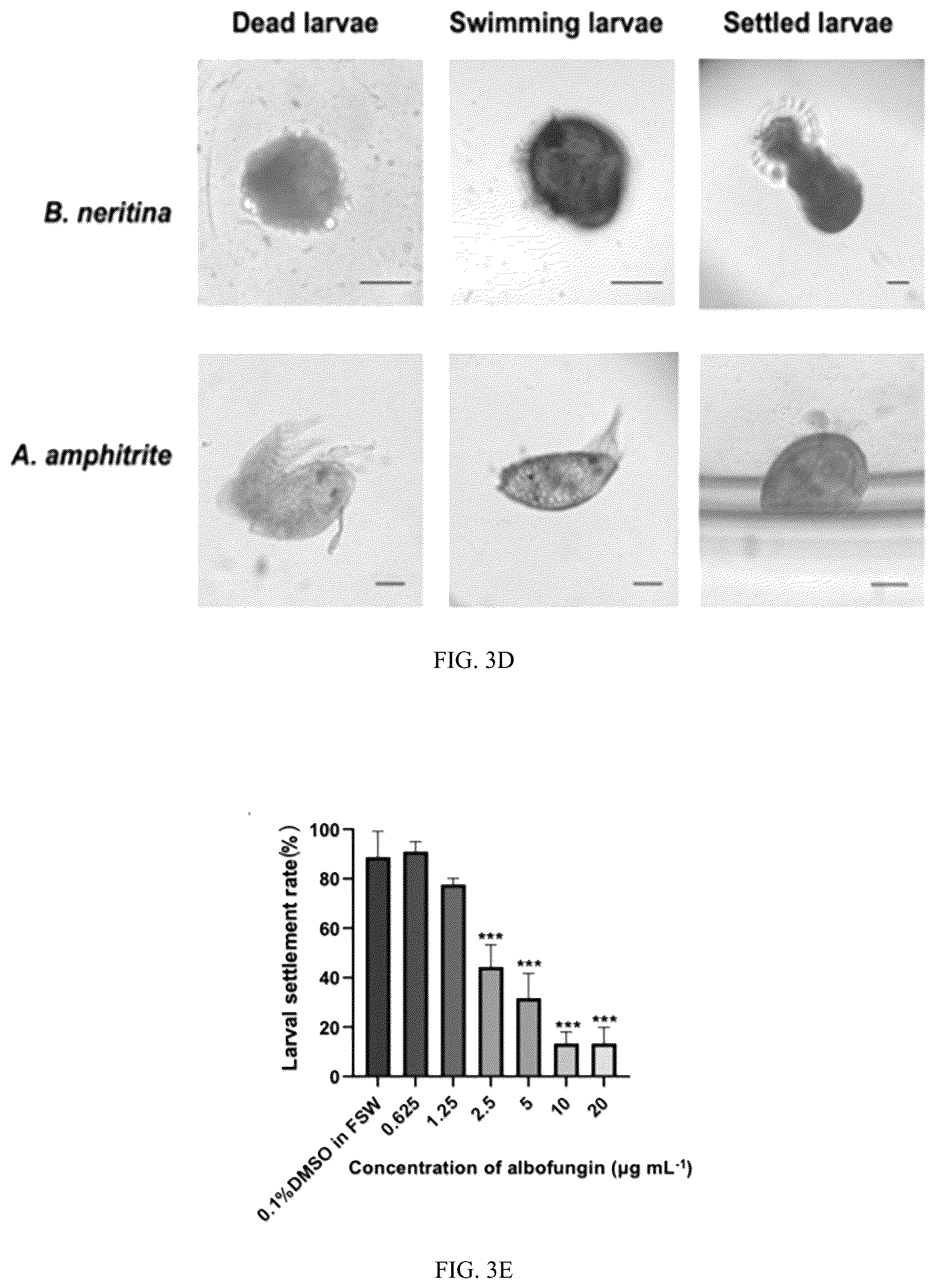 Patent US12410323 Figure 6 – Potent antifouling agents albofungins target multiple fouling organisms