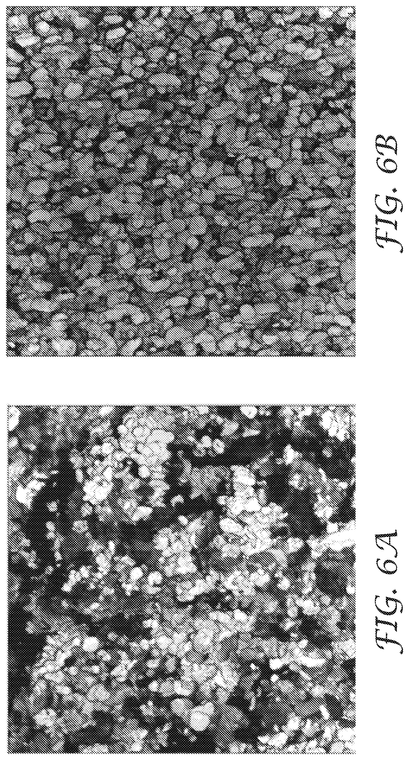 Patent US12410325 Figure 6 – Decorative laminate including metallic layer and method for producing the same, and metallic coating composition