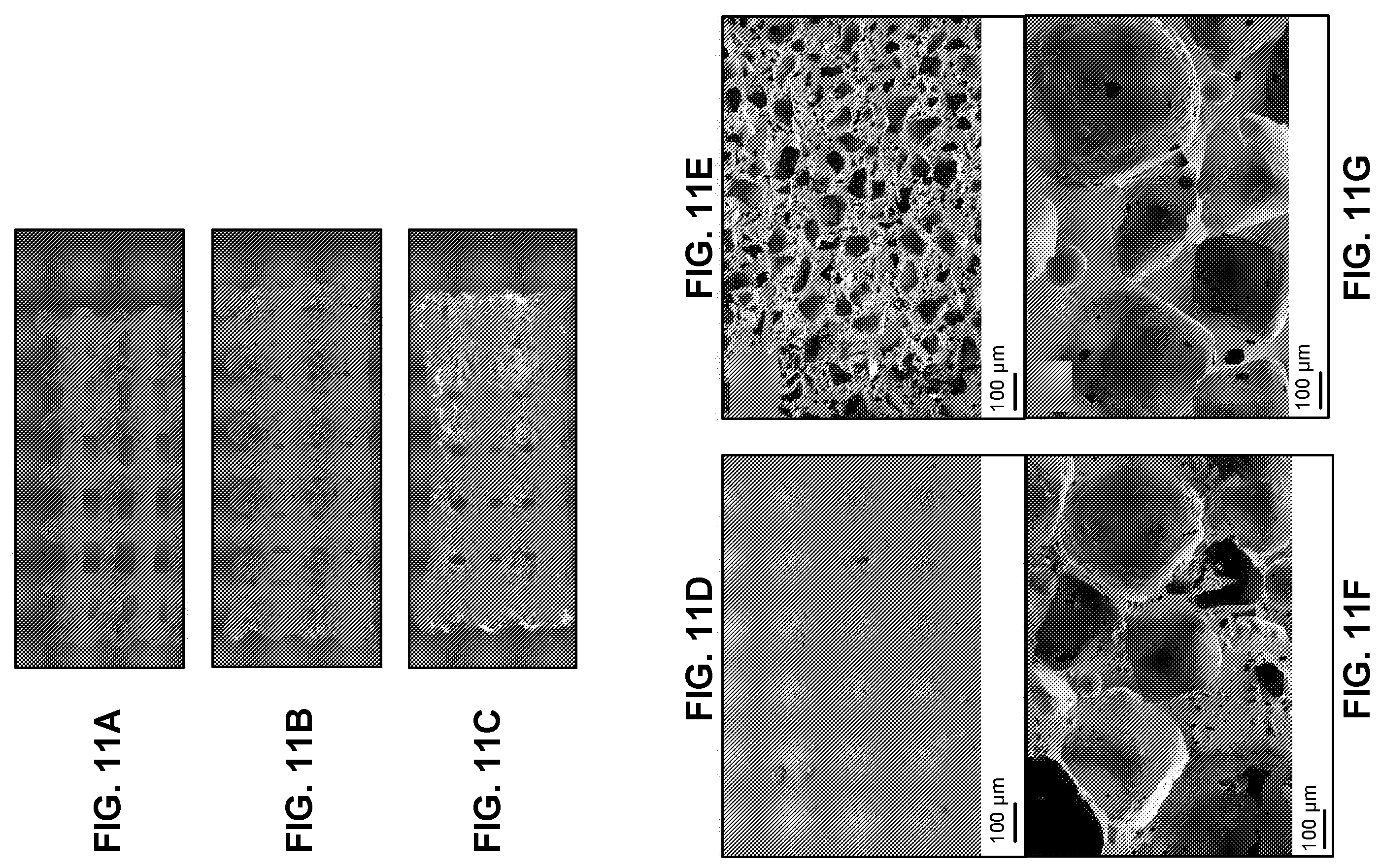 Patent US12410329 Figure 10 – Radiation-curable, nonradiation-curable copolymer system for additive manufacturing