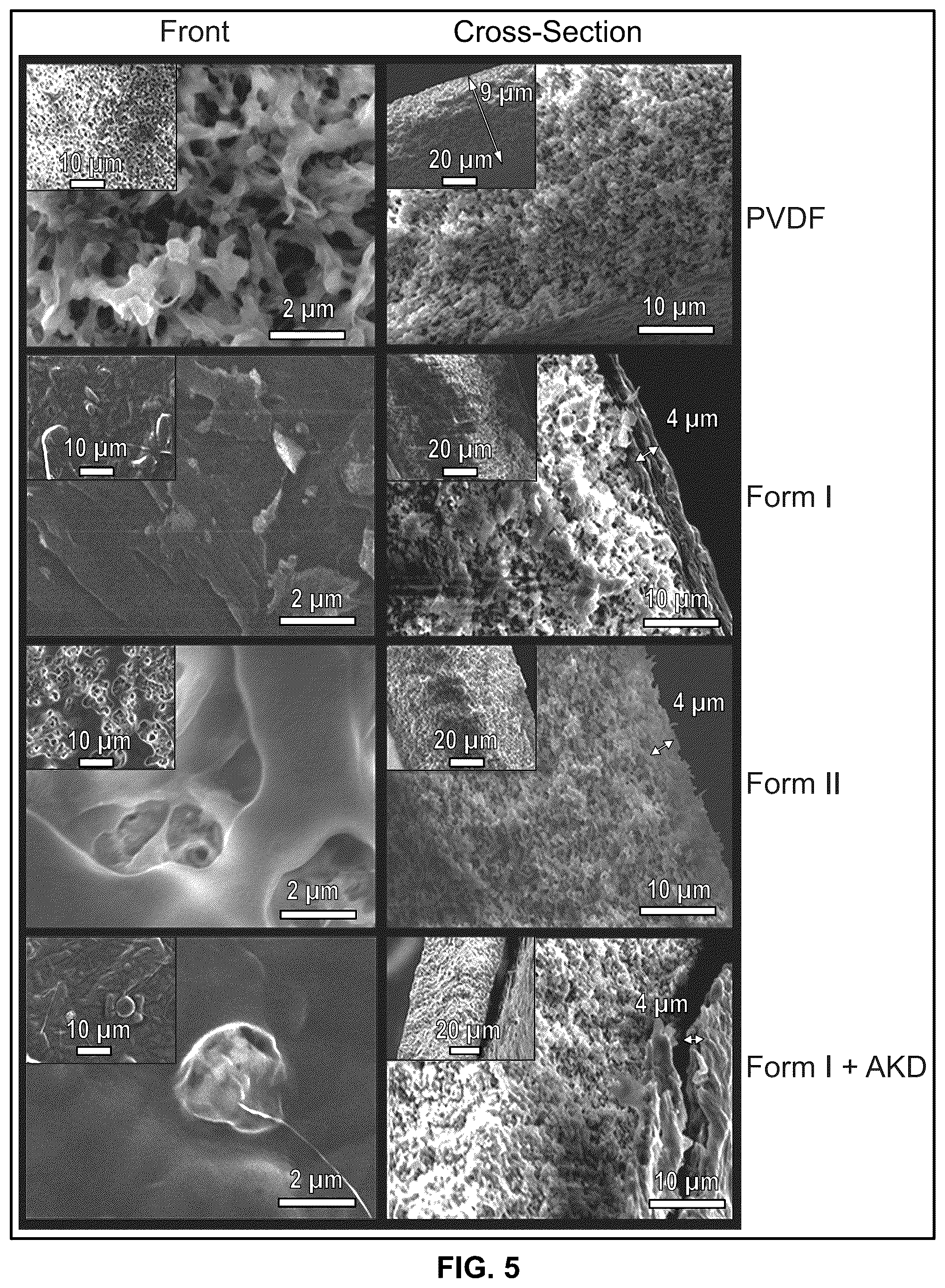 Patent US12410336 Figure 3 – Cellulose based anti-viral anti-microbial spray coating