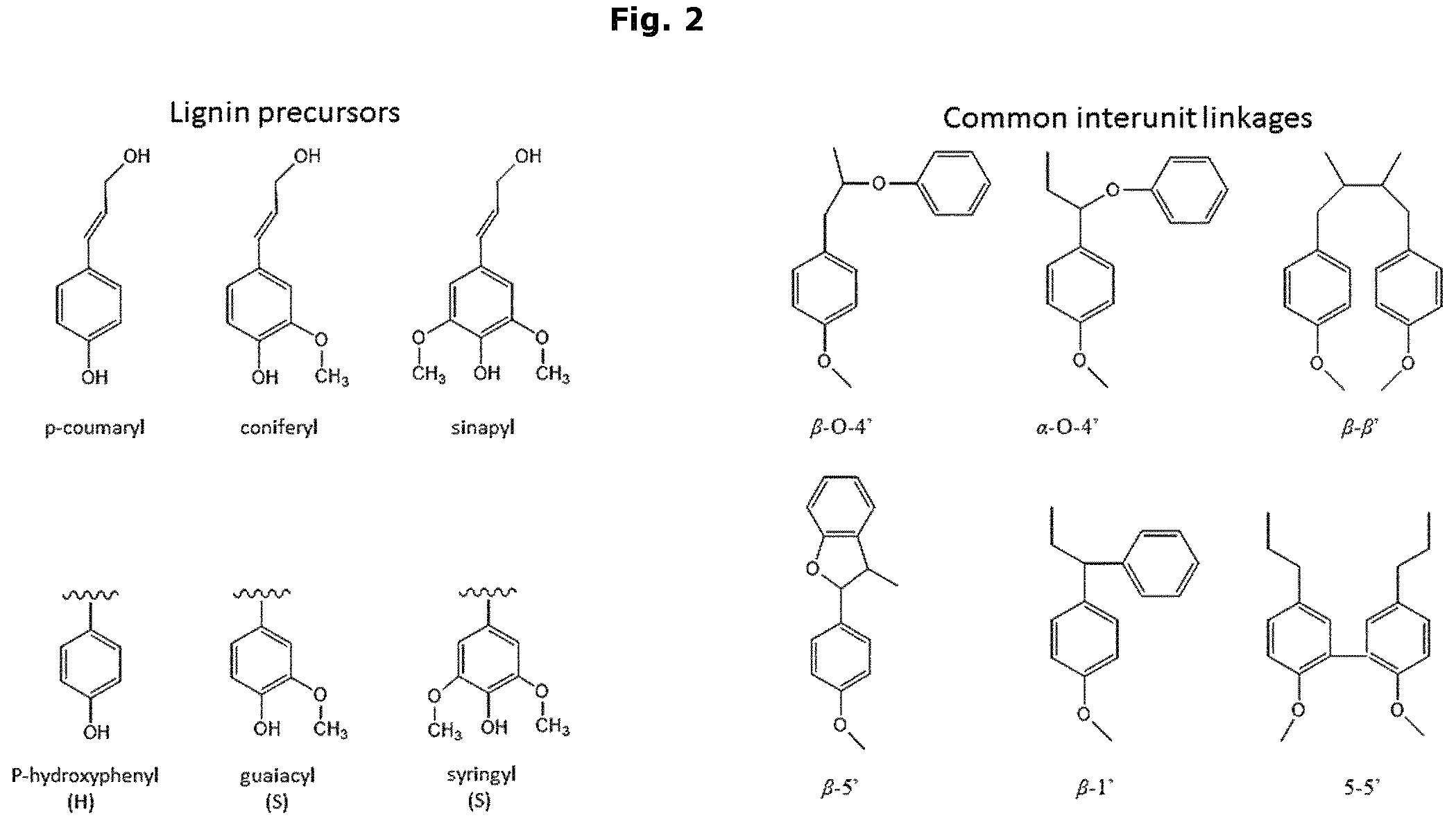 Patent US12410349 Figure 2 – Aqueous binder composition