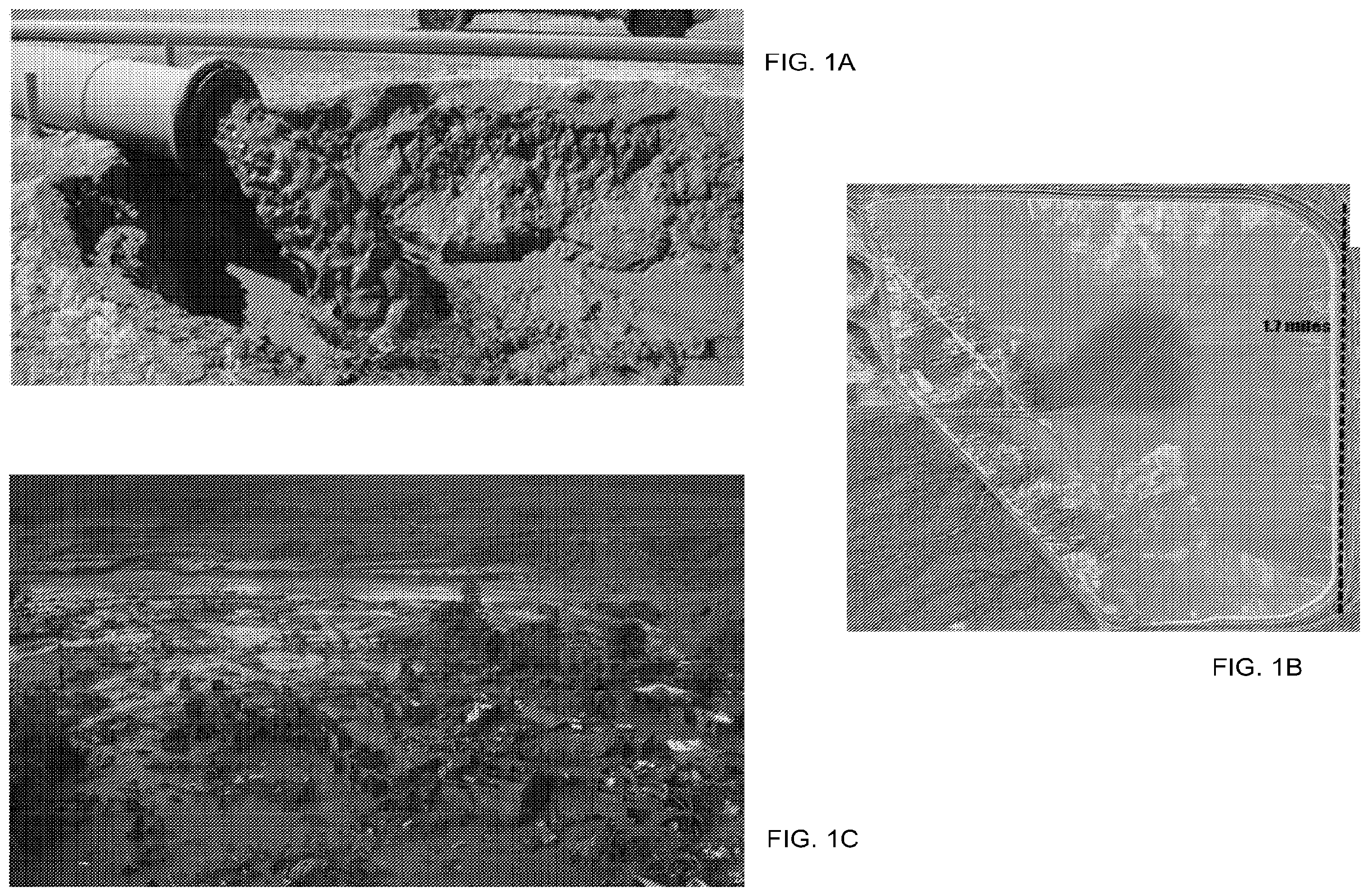 Patent US12410350 Figure 1 – Systems and methods for dust control using a liquid polymer