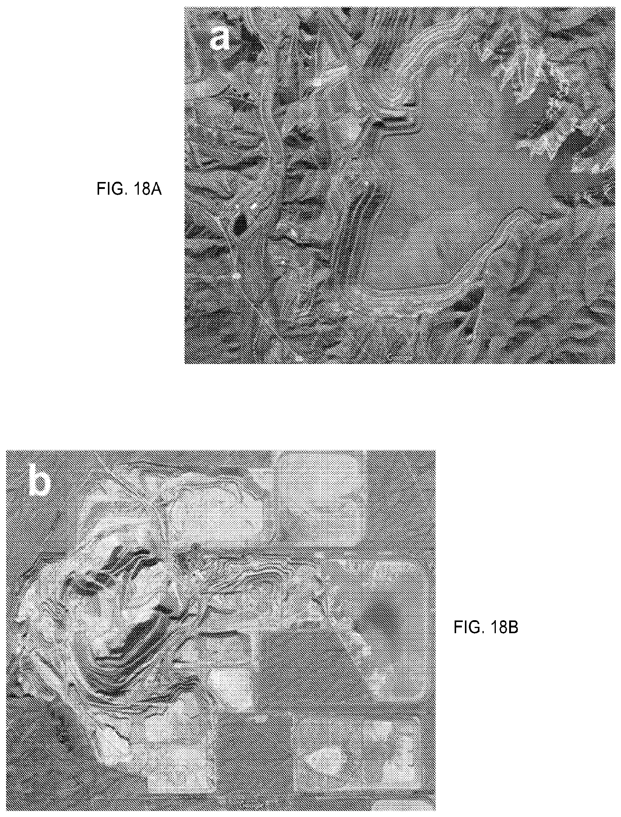 Patent US12410350 Figure 14 – Systems and methods for dust control using a liquid polymer