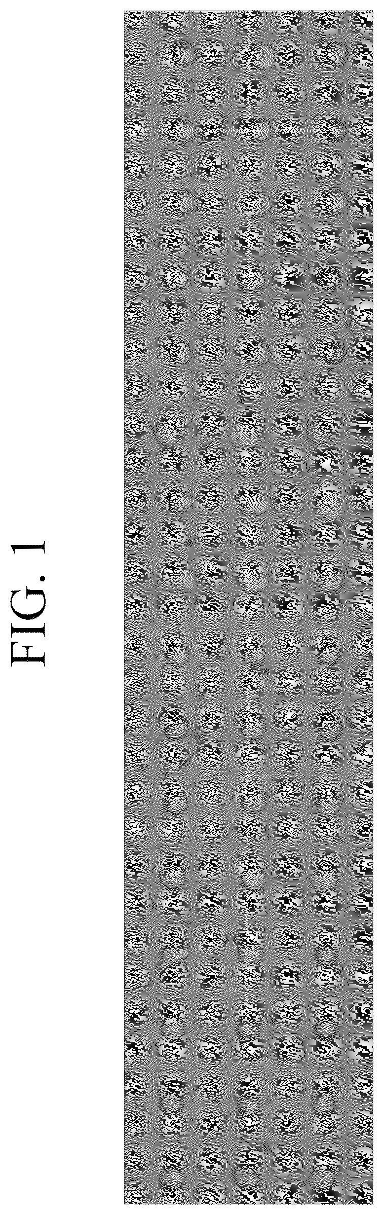 Patent US12410365 Figure 1 – Solvent-free curable composition, cured film produced using same composition, color filter comprising same cured film, and display device