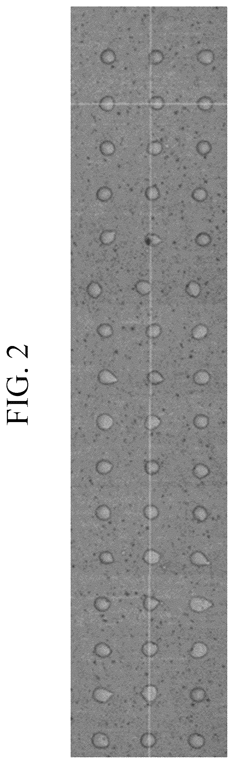 Patent US12410365 Figure 2 – Solvent-free curable composition, cured film produced using same composition, color filter comprising same cured film, and display device