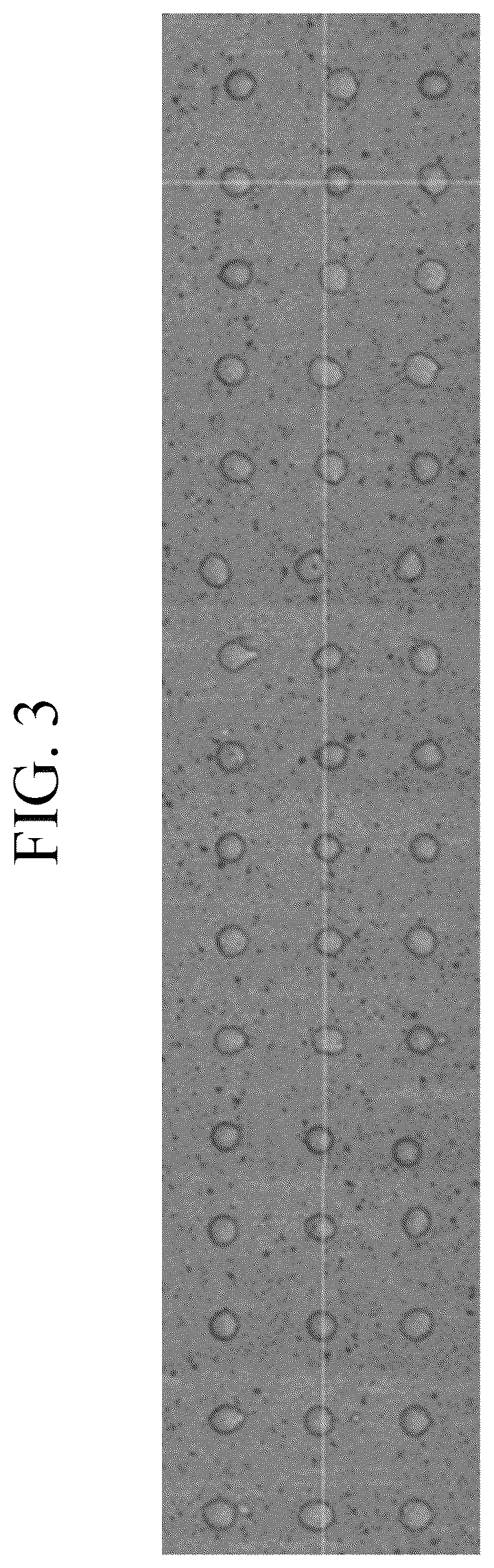 Patent US12410365 Figure 3 – Solvent-free curable composition, cured film produced using same composition, color filter comprising same cured film, and display device