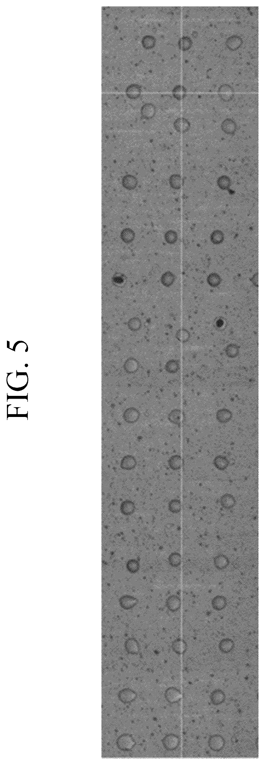 Patent US12410365 Figure 5 – Solvent-free curable composition, cured film produced using same composition, color filter comprising same cured film, and display device