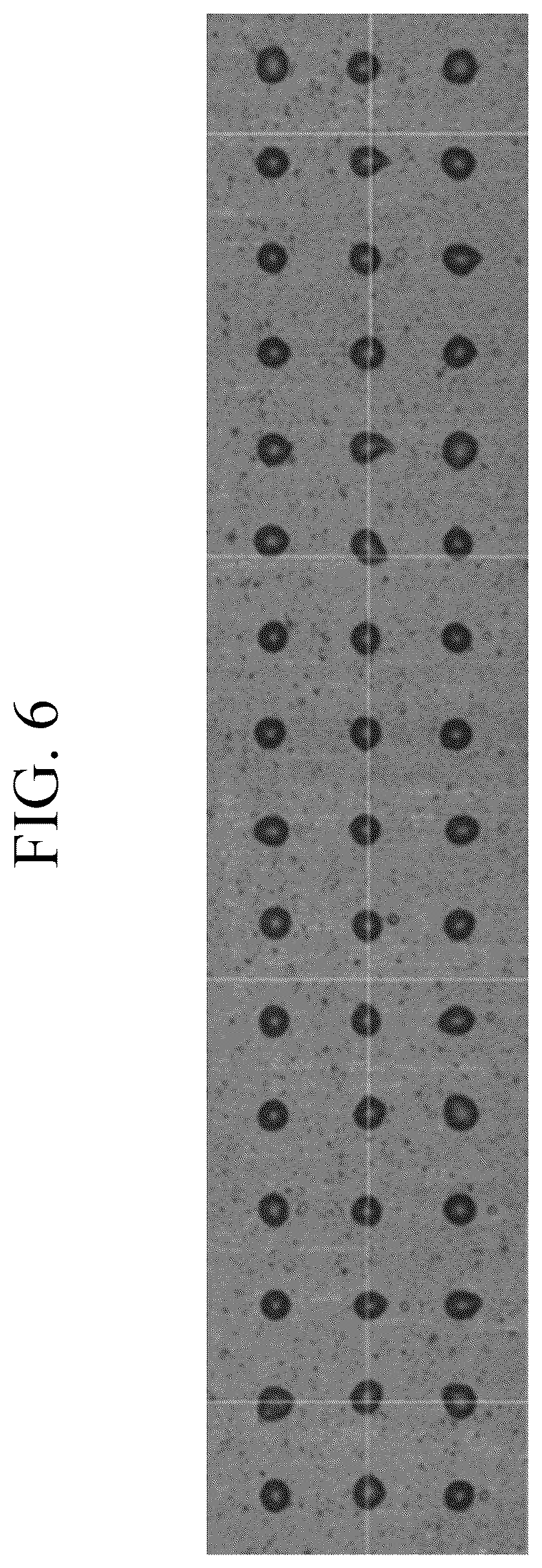 Patent US12410365 Figure 6 – Solvent-free curable composition, cured film produced using same composition, color filter comprising same cured film, and display device