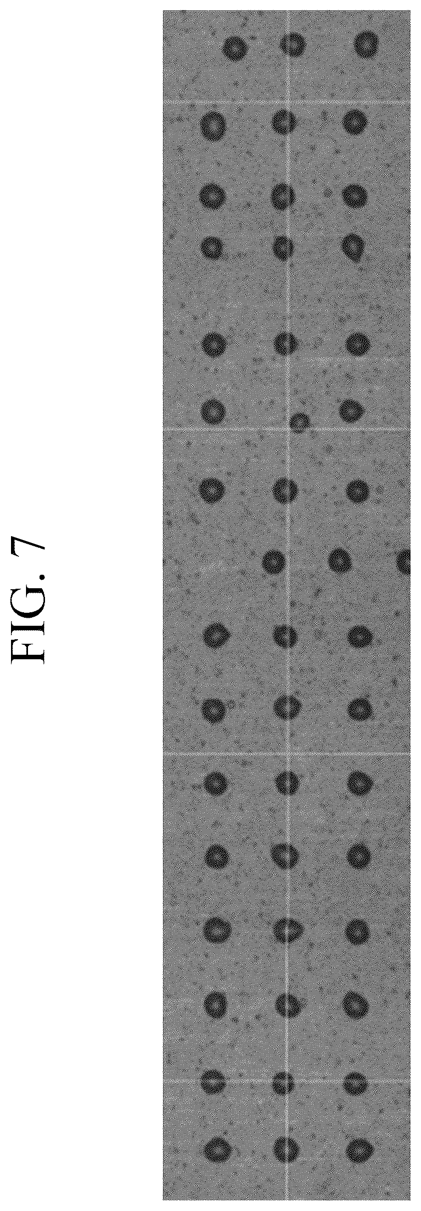 Patent US12410365 Figure 7 – Solvent-free curable composition, cured film produced using same composition, color filter comprising same cured film, and display device