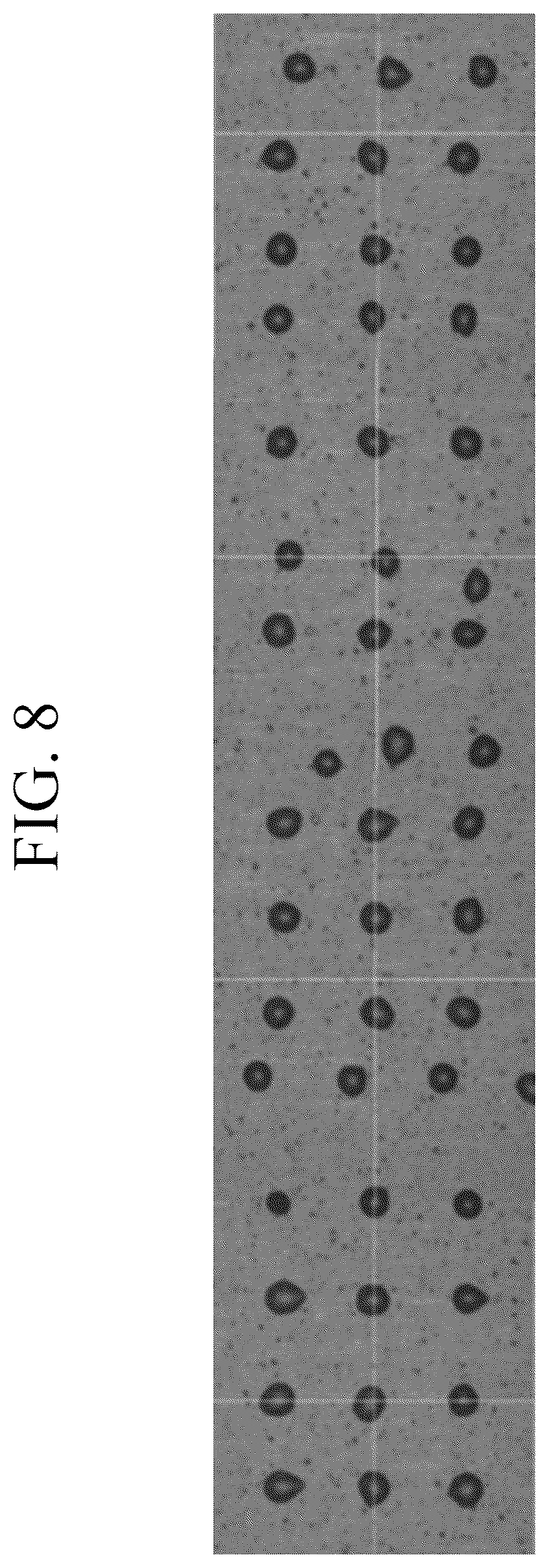 Patent US12410365 Figure 8 – Solvent-free curable composition, cured film produced using same composition, color filter comprising same cured film, and display device