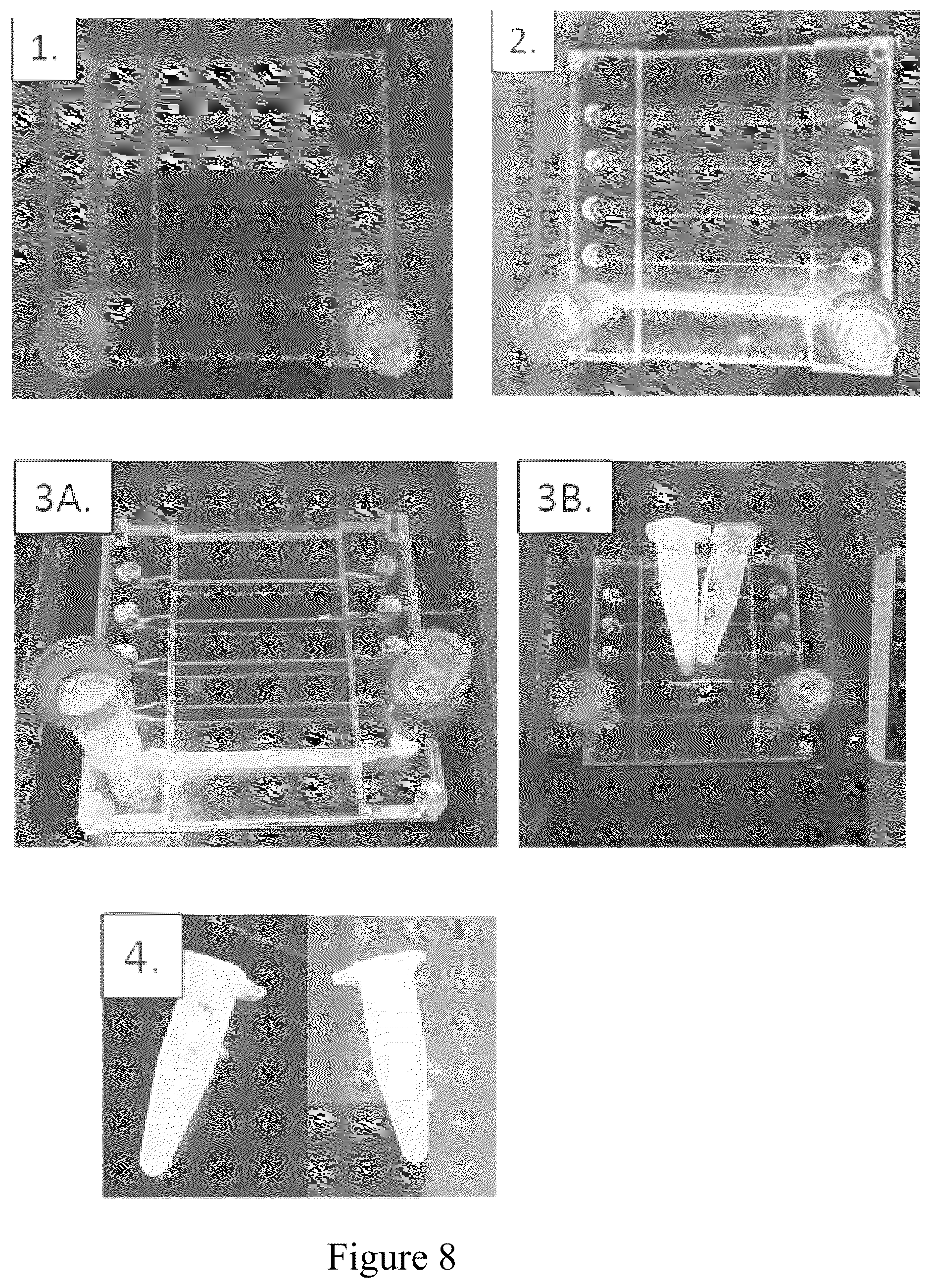 Patent US12410390 Figure 9 – Factory-on-a-chip for production of biologically derived medicines/biopharmaceuticals/biologics/biotherapeutics