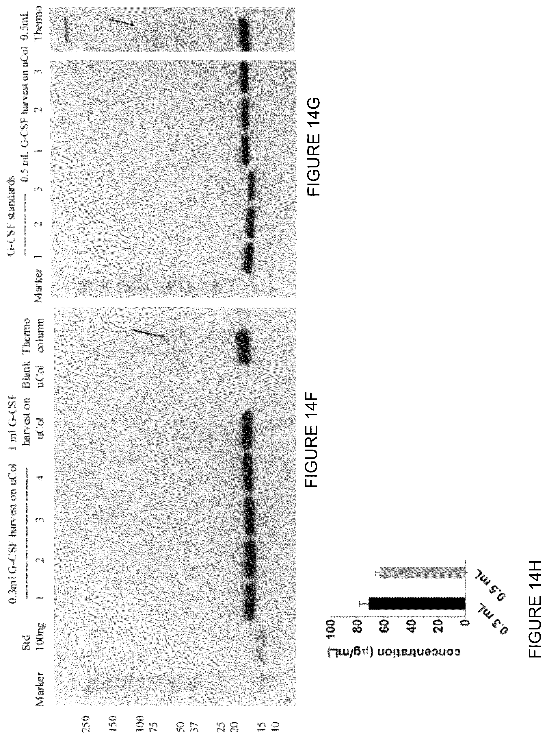 Patent US12410390 Figure 18 – Factory-on-a-chip for production of biologically derived medicines/biopharmaceuticals/biologics/biotherapeutics