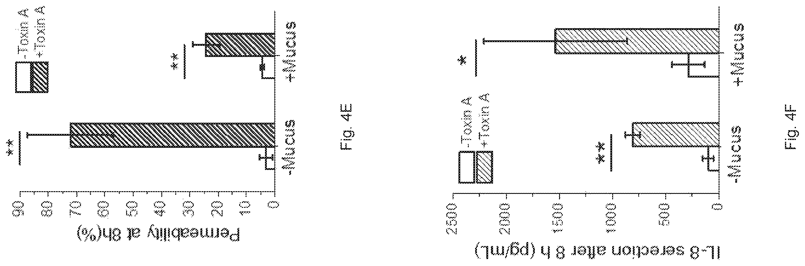 Patent US12410391 Figure 12 – In vitro cell culture mucus systems