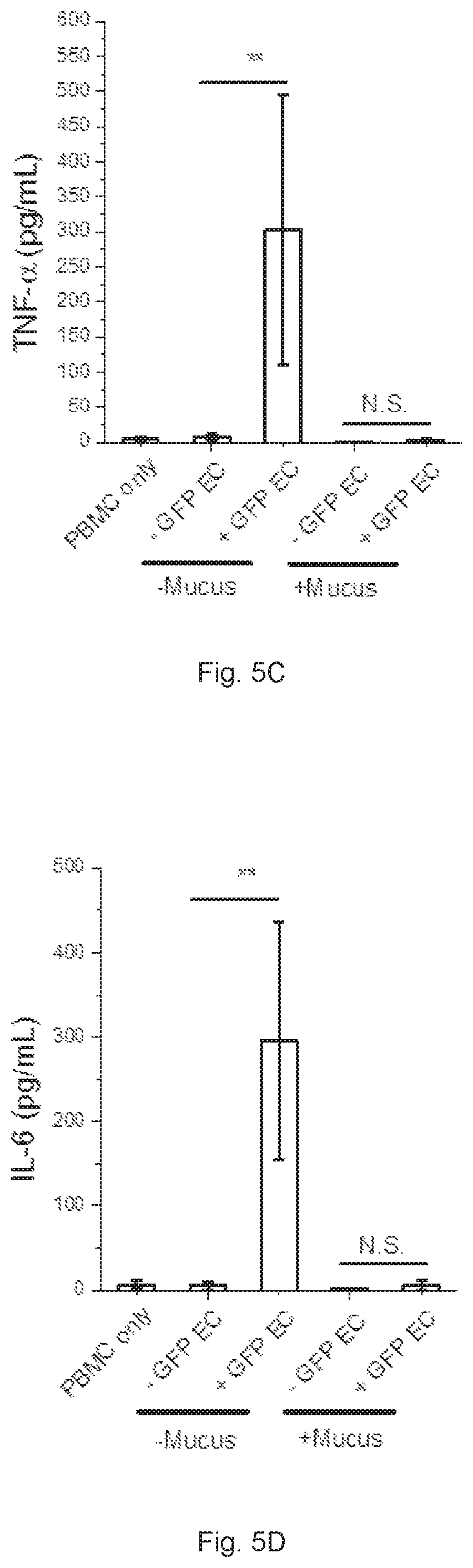 Patent US12410391 Figure 14 – In vitro cell culture mucus systems
