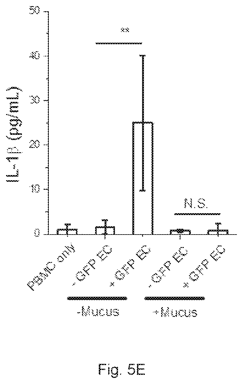 Patent US12410391 Figure 15 – In vitro cell culture mucus systems