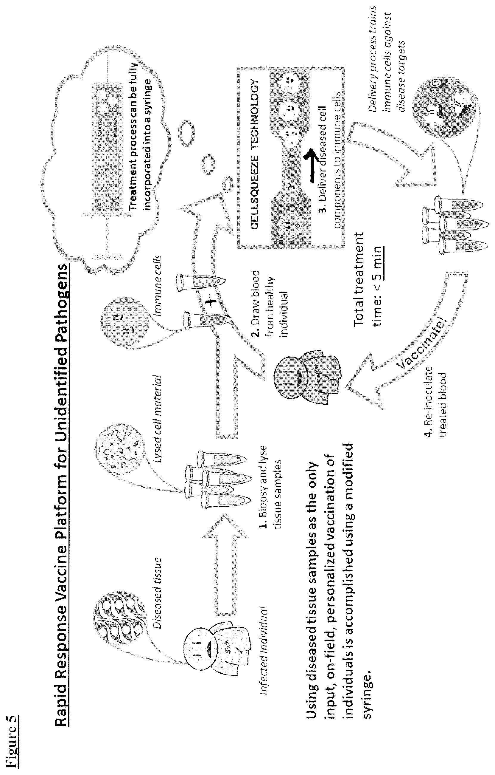 Patent US12410392 Figure 8 – Delivery of biomolecules to immune cells