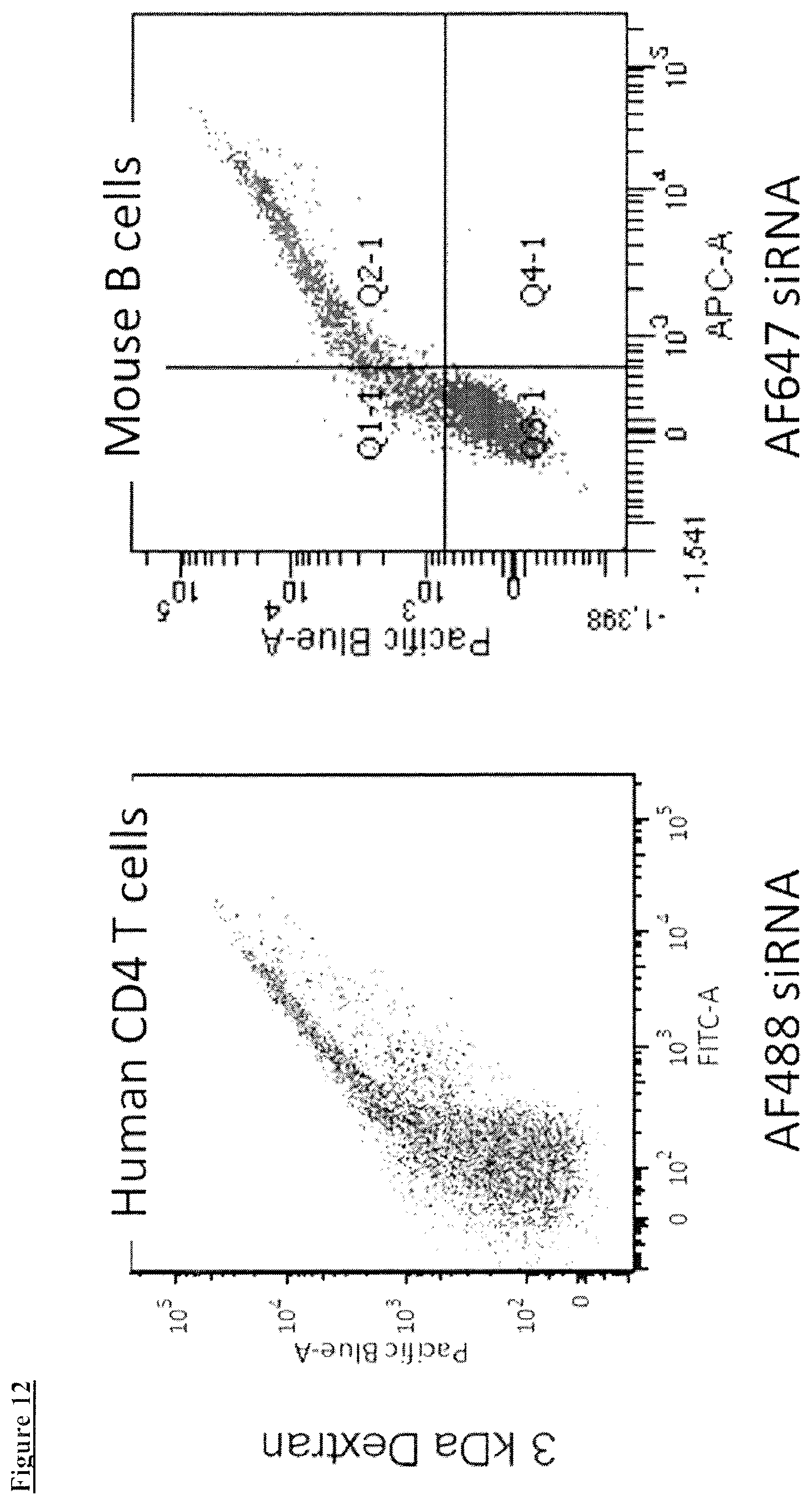 Patent US12410392 Figure 13 – Delivery of biomolecules to immune cells