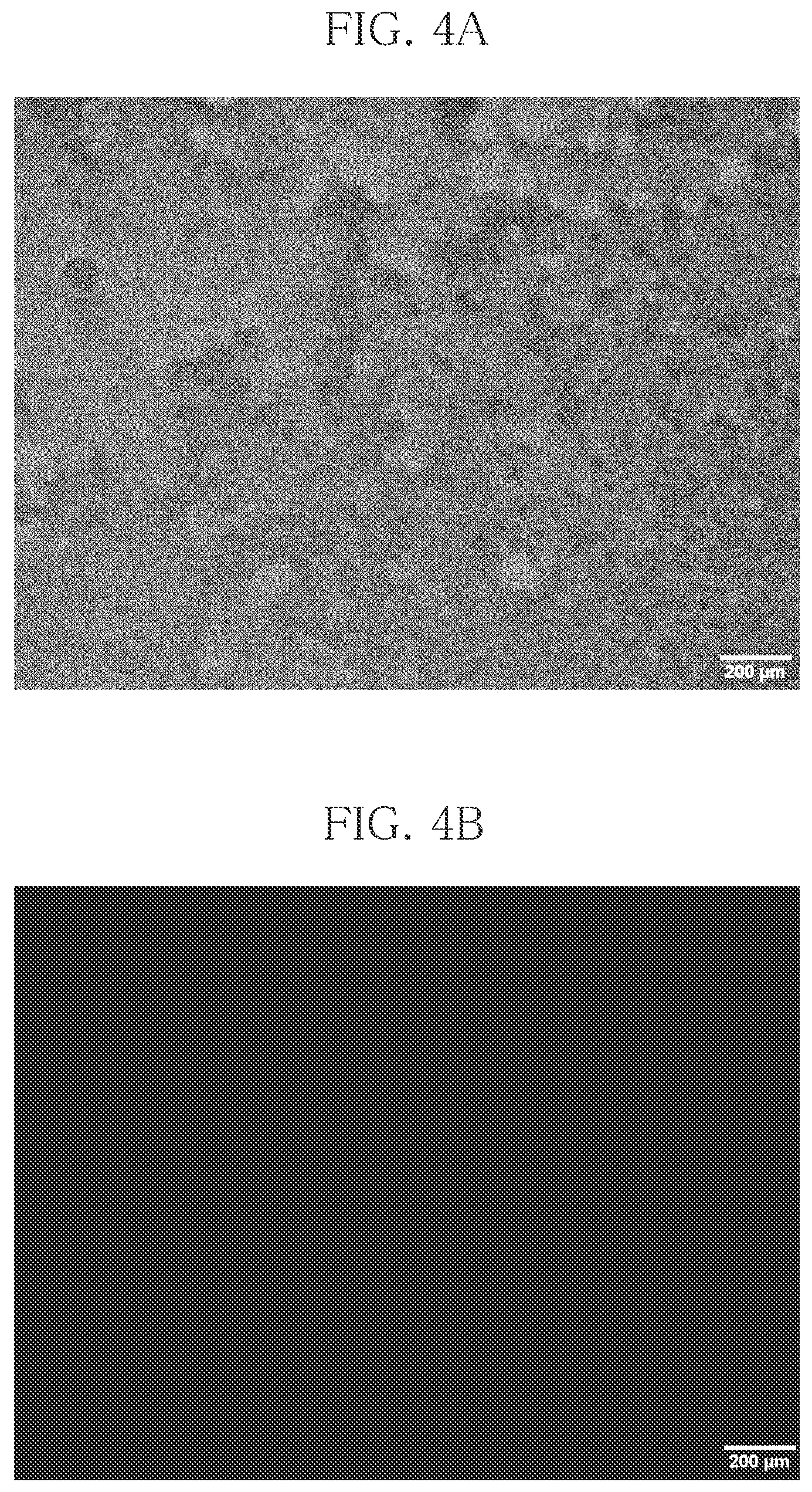 Patent US12410395 Figure 3 – Cell treatment agent