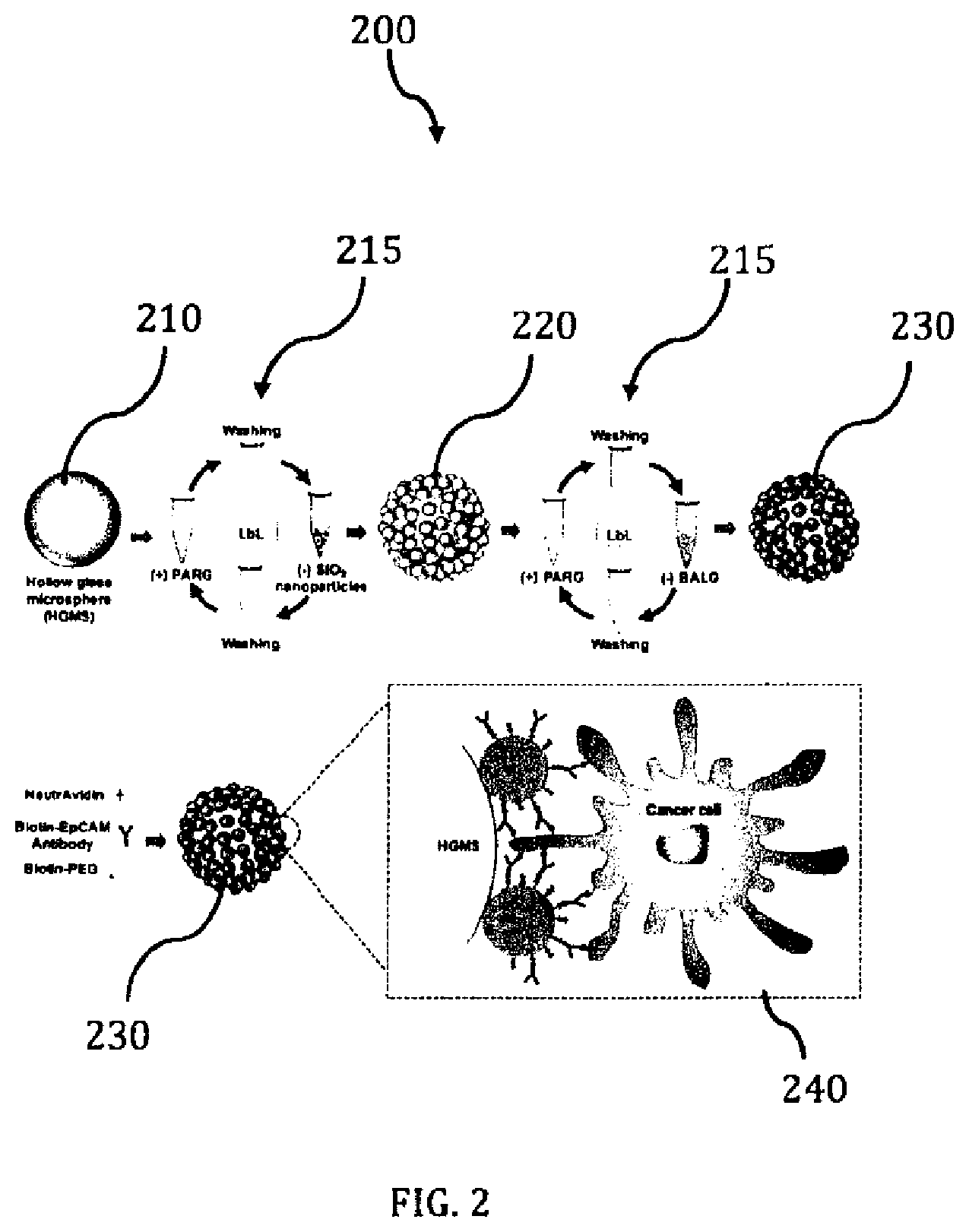 Patent US12410396 Figure 2 – Rapid cell isolation and recovery using hollow glass microspheres coated with biodegradable nanostructured films