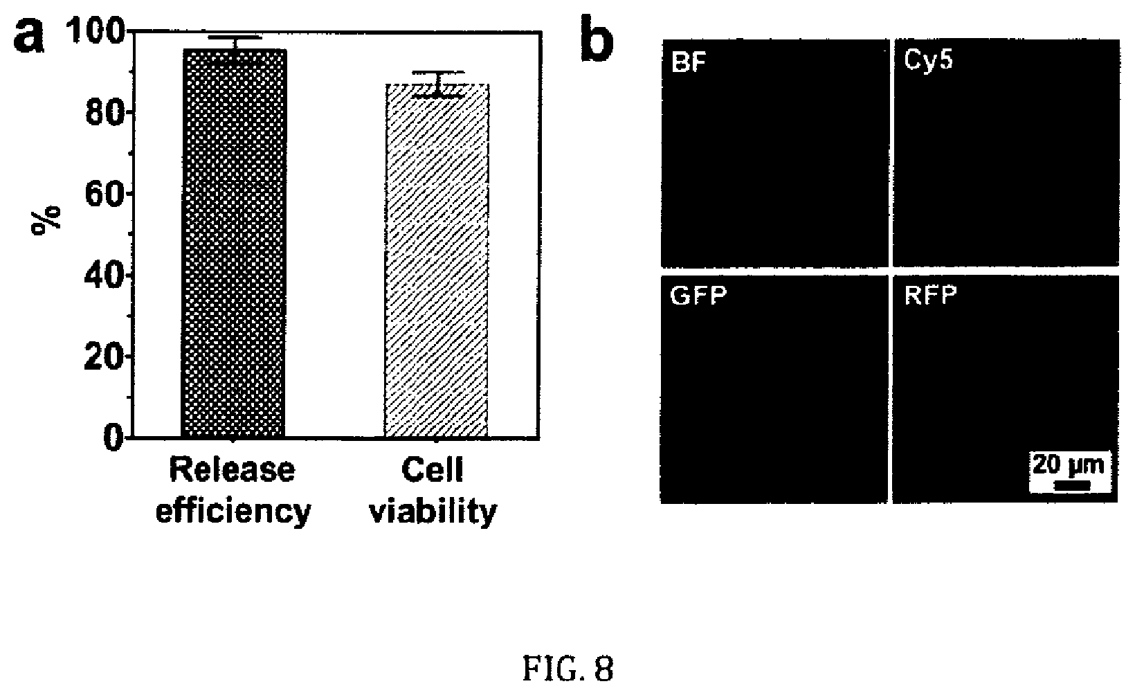 Patent US12410396 Figure 7 – Rapid cell isolation and recovery using hollow glass microspheres coated with biodegradable nanostructured films