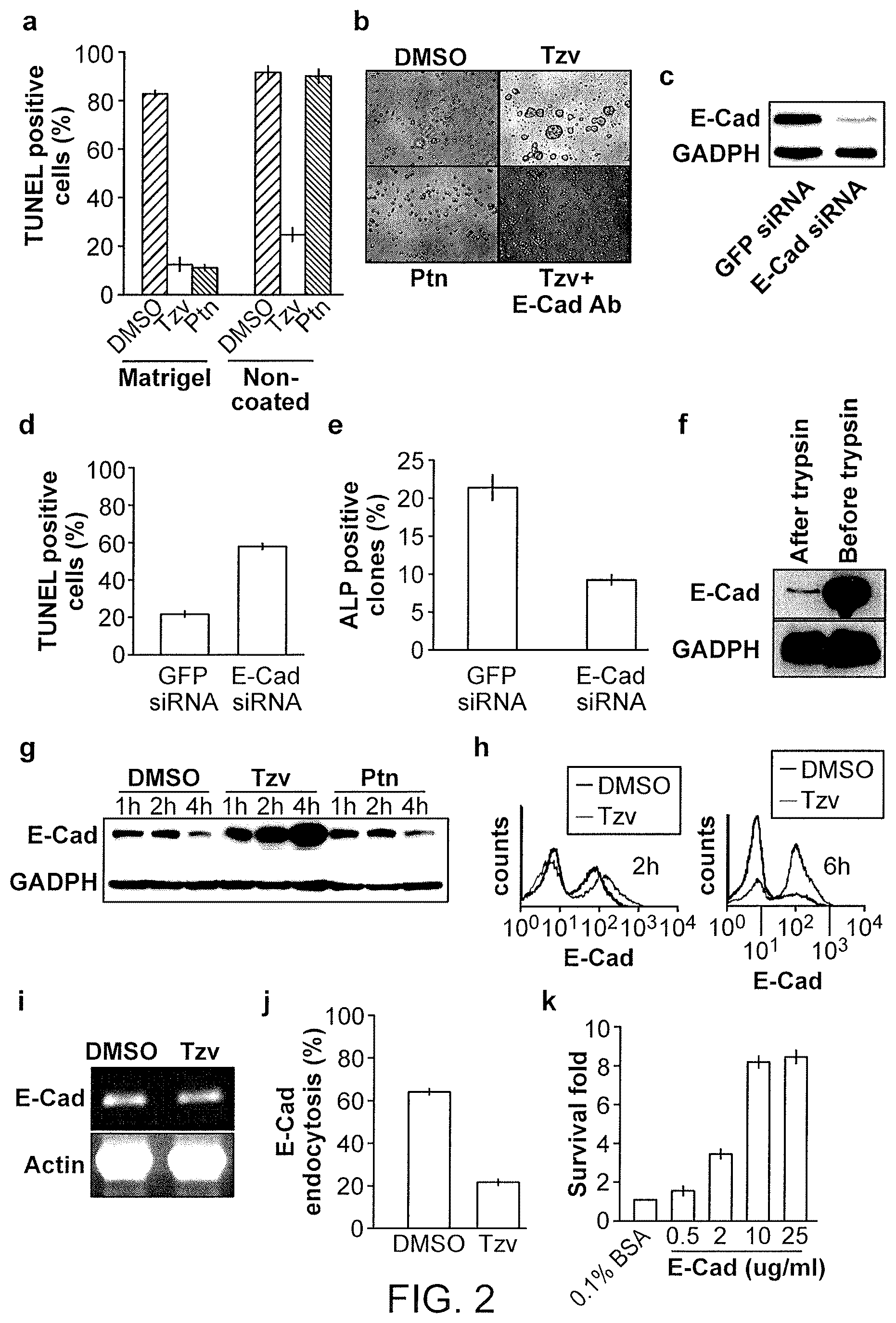 Patent US12410397 Figure 2 – Methods of enhancing cell survival of stem cells