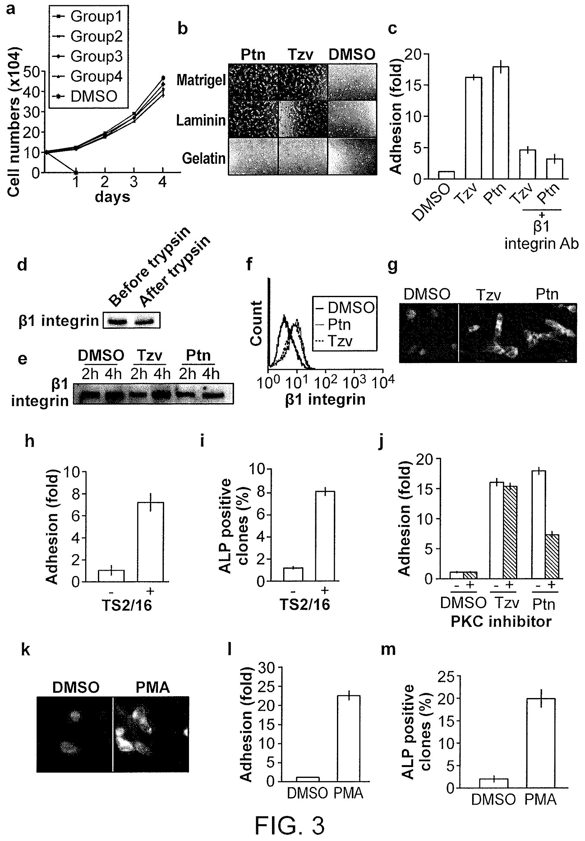 Patent US12410397 Figure 3 – Methods of enhancing cell survival of stem cells