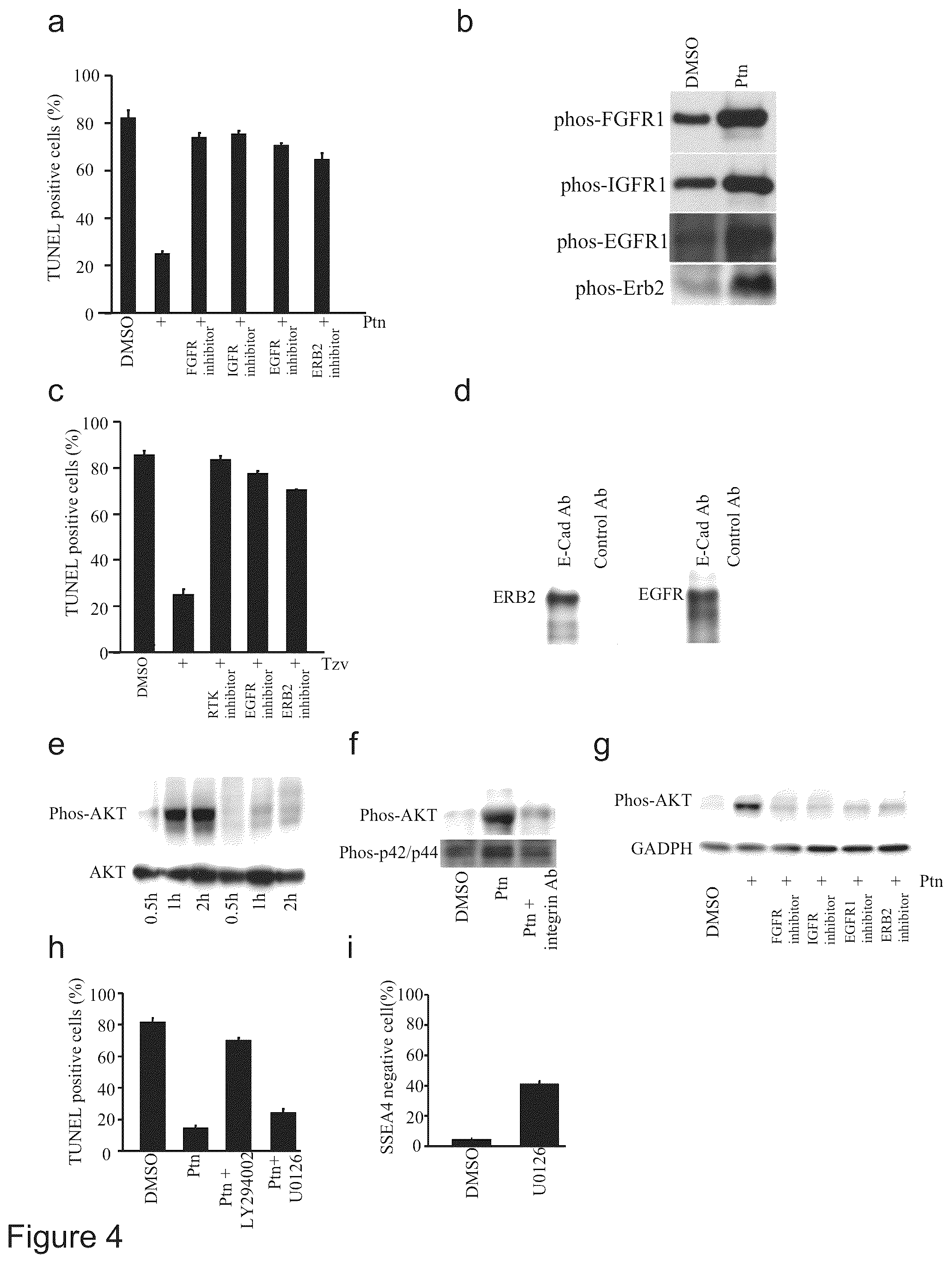 Patent US12410397 Figure 4 – Methods of enhancing cell survival of stem cells