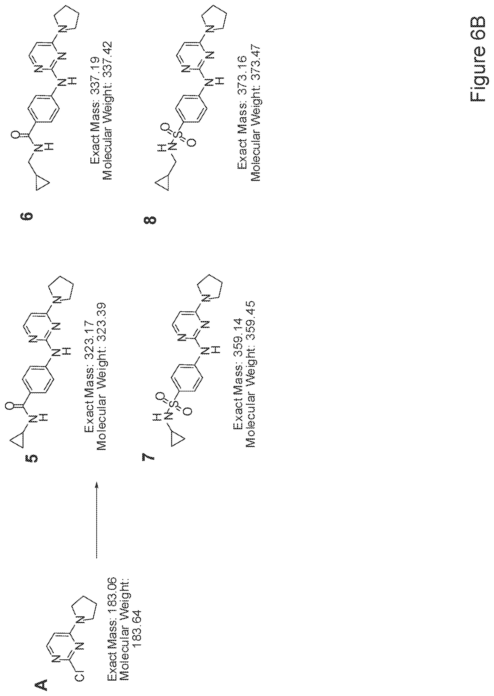 Patent US12410397 Figure 8 – Methods of enhancing cell survival of stem cells