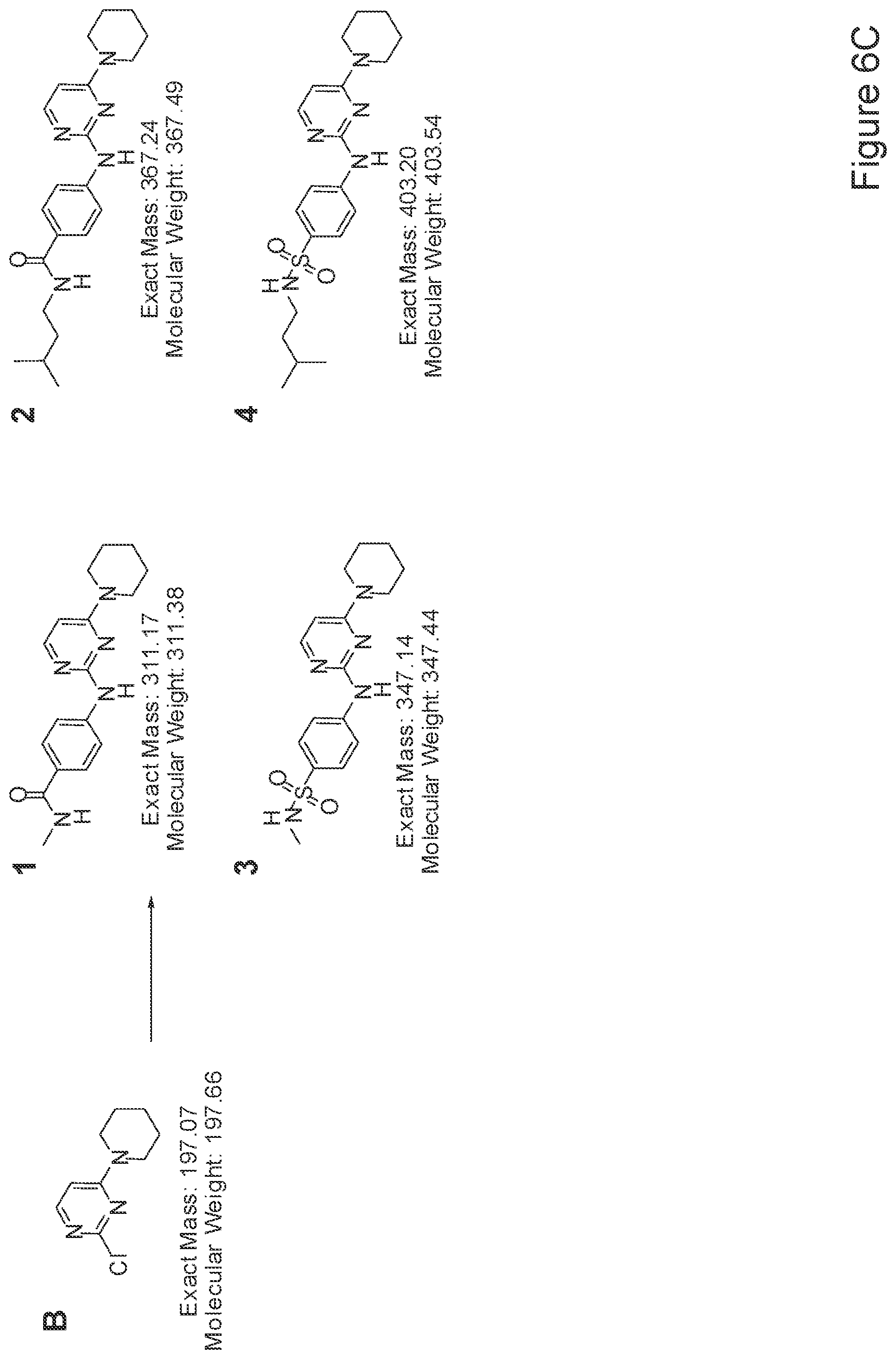 Patent US12410397 Figure 9 – Methods of enhancing cell survival of stem cells