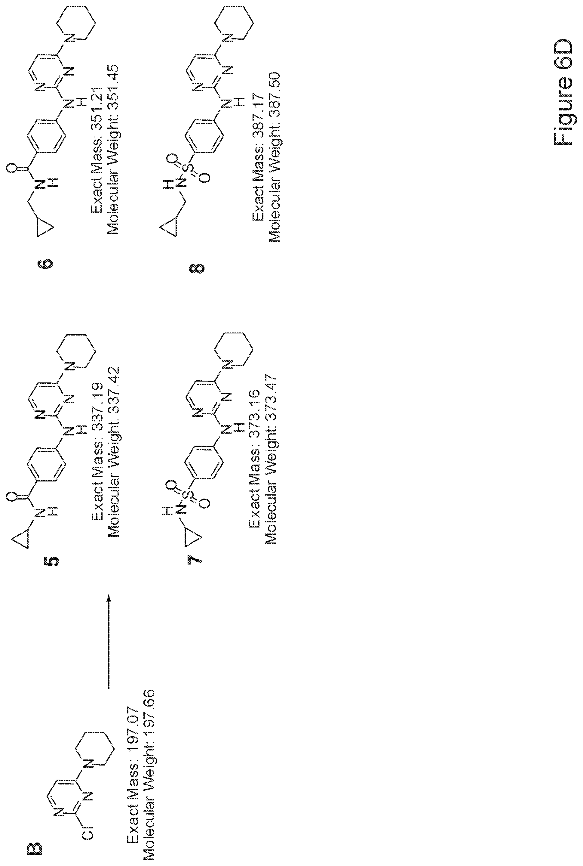 Patent US12410397 Figure 10 – Methods of enhancing cell survival of stem cells