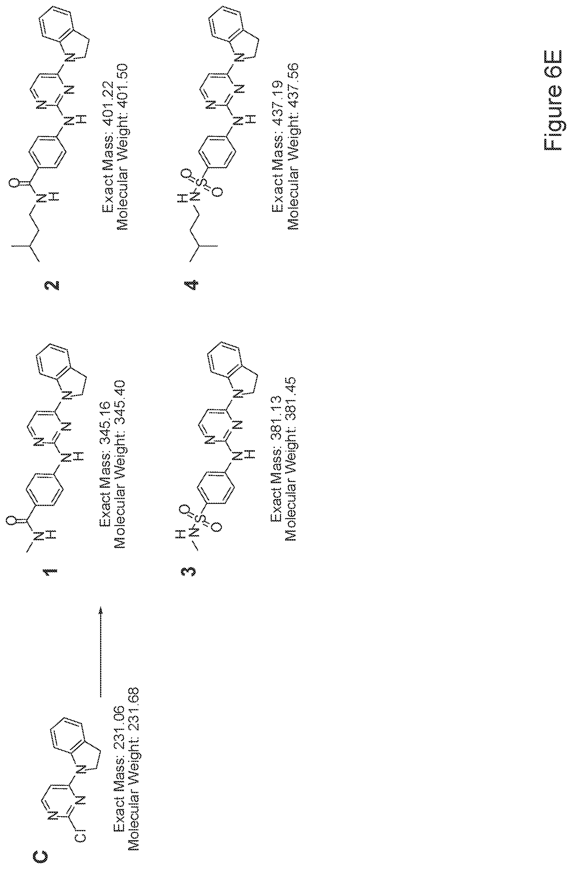 Patent US12410397 Figure 11 – Methods of enhancing cell survival of stem cells