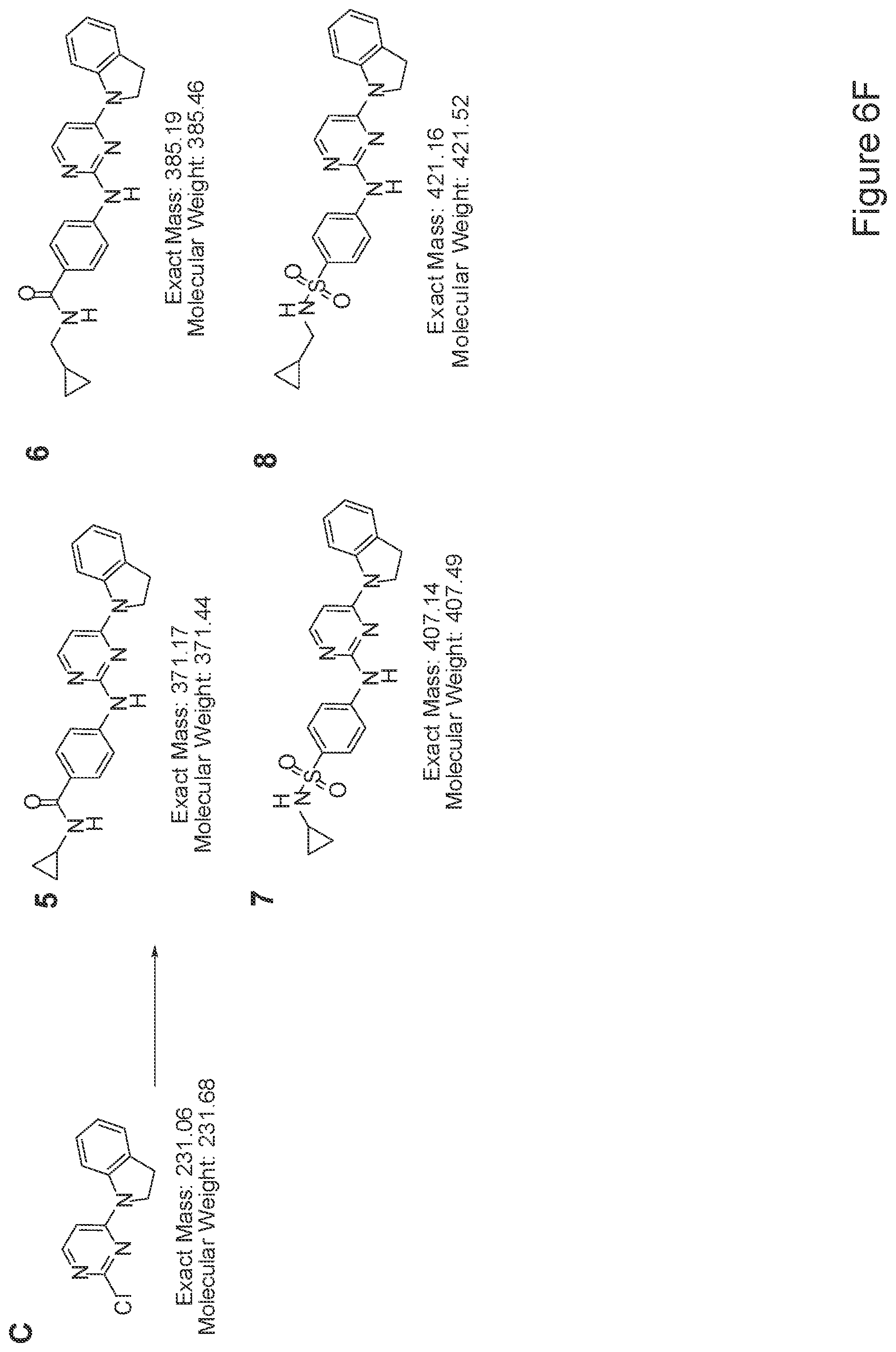 Patent US12410397 Figure 12 – Methods of enhancing cell survival of stem cells