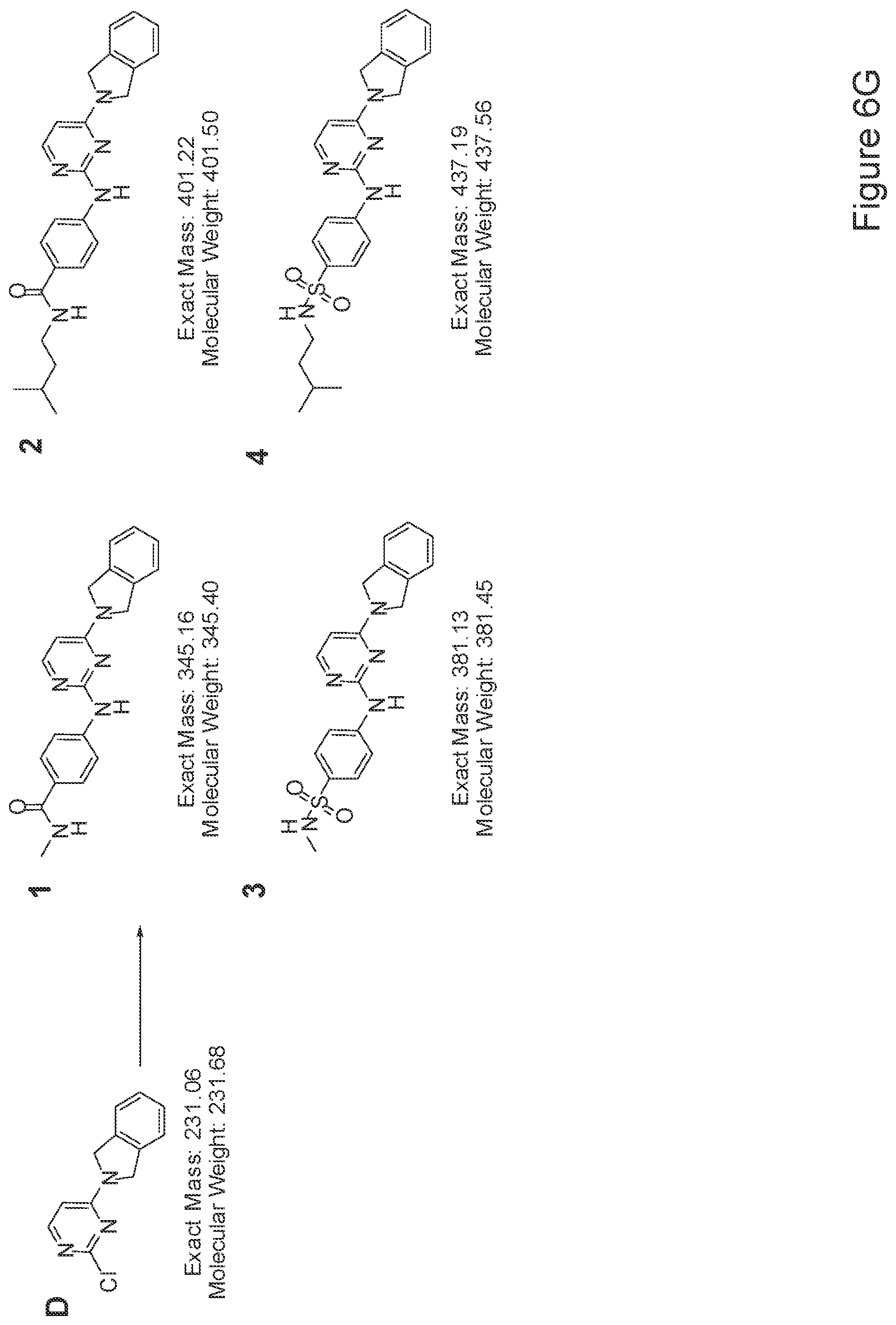 Patent US12410397 Figure 13 – Methods of enhancing cell survival of stem cells