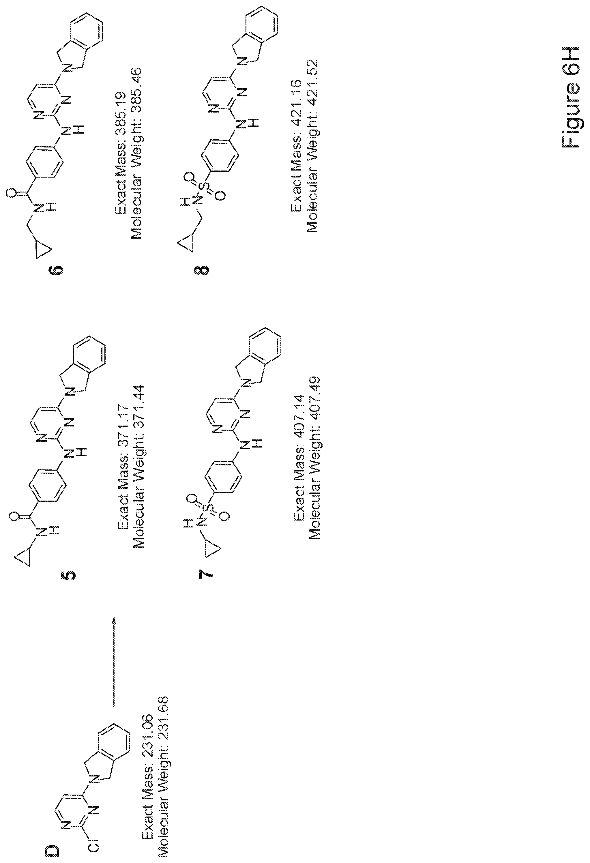Patent US12410397 Figure 14 – Methods of enhancing cell survival of stem cells