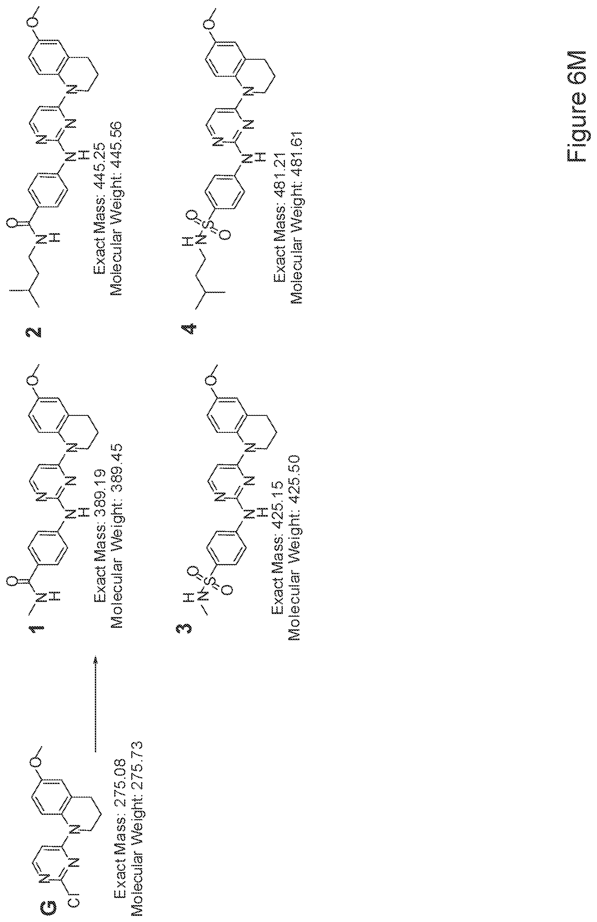 Patent US12410397 Figure 19 – Methods of enhancing cell survival of stem cells