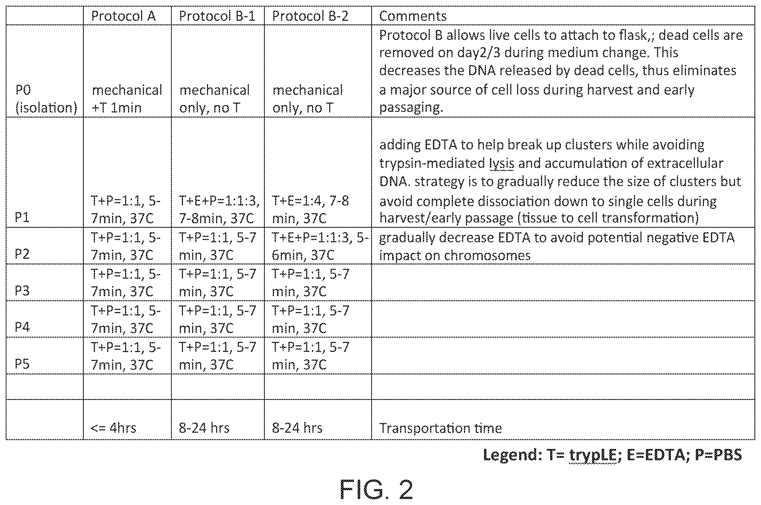 Patent US12410398 Figure 2 – Methods of human retinal progenitor cell isolation and culture