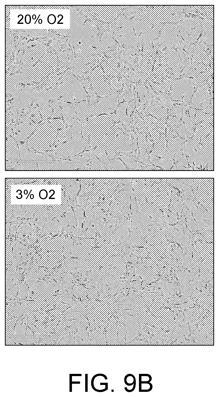 Patent US12410399 Figure 10 – Compositions and methods for treating retinal diseases