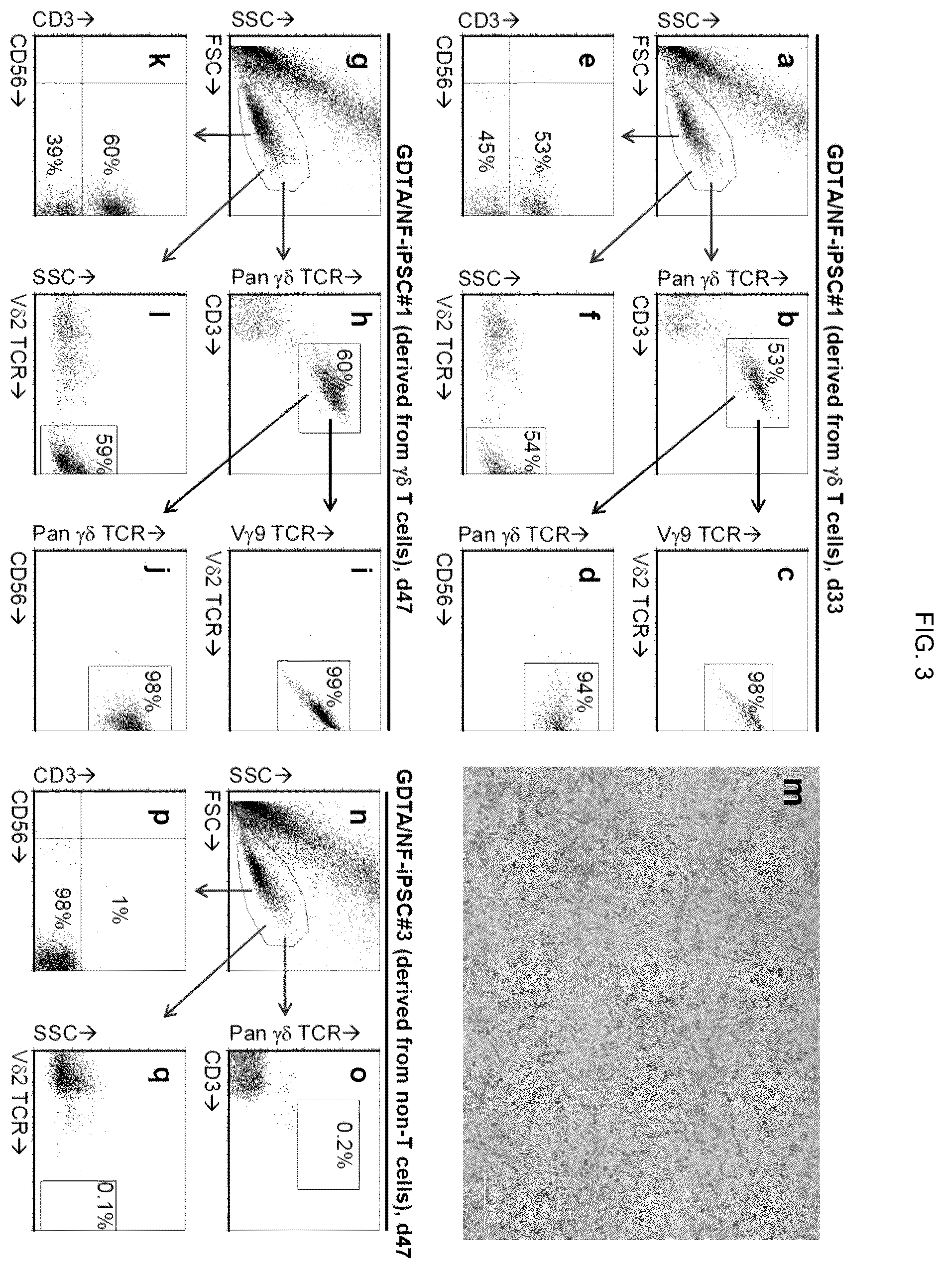 Patent US12410400 Figure 4 – Methods for generating mimetic innate immune cells from pluripotent stem cells