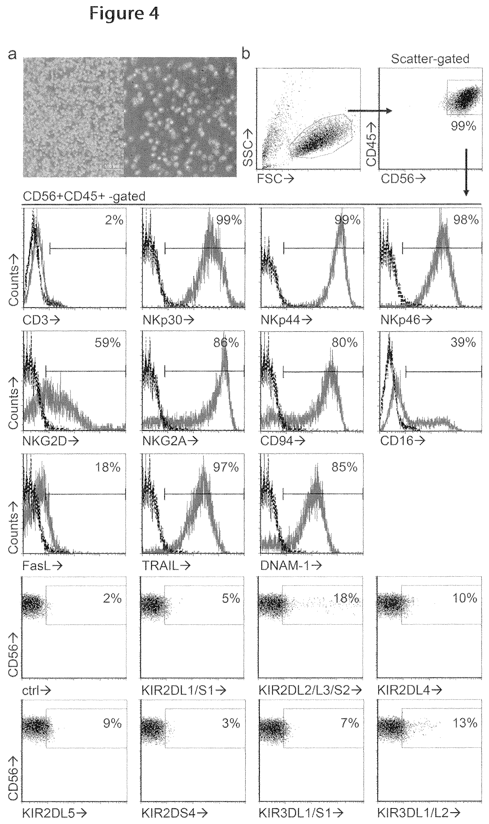 Patent US12410400 Figure 5 – Methods for generating mimetic innate immune cells from pluripotent stem cells