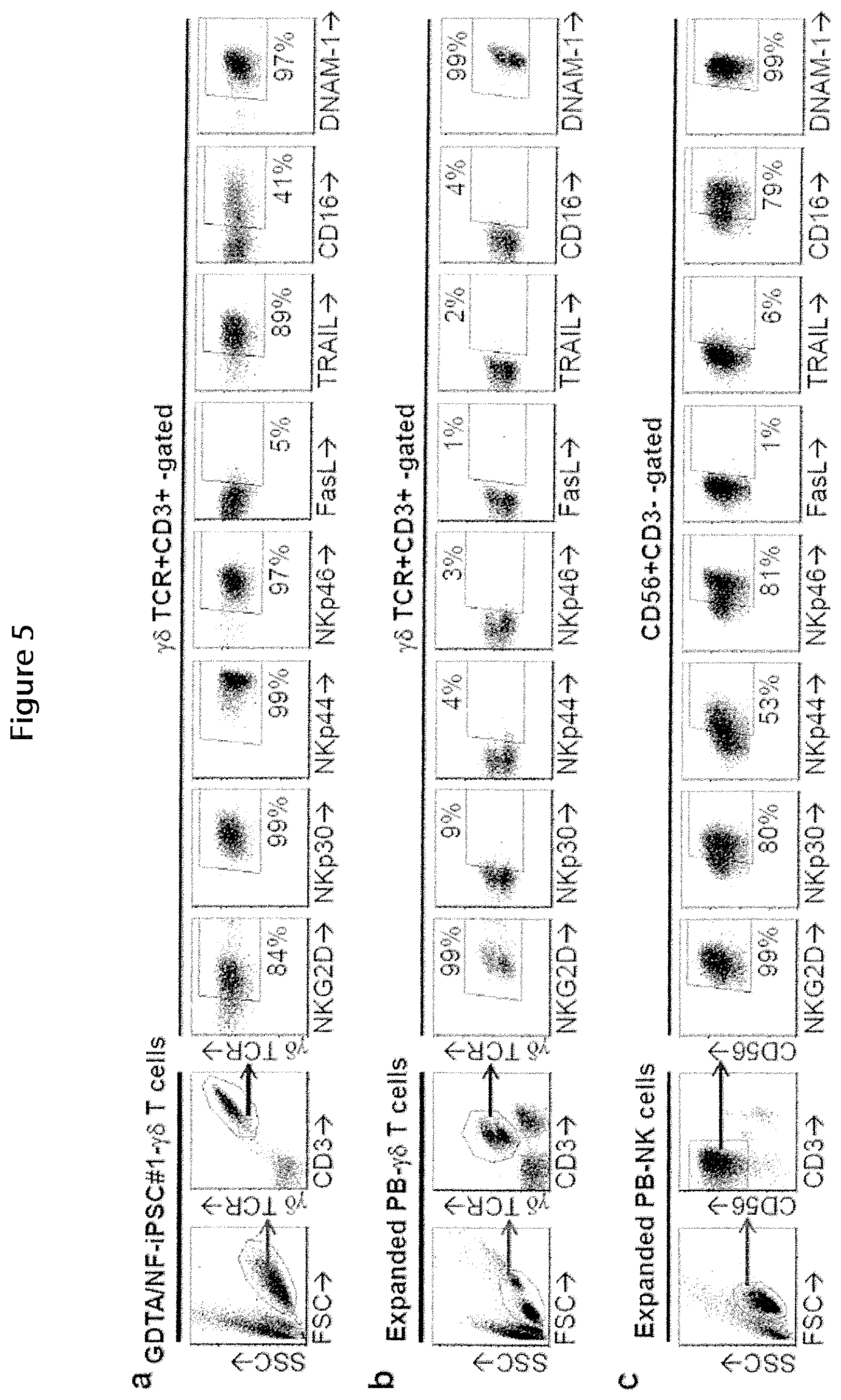 Patent US12410400 Figure 6 – Methods for generating mimetic innate immune cells from pluripotent stem cells