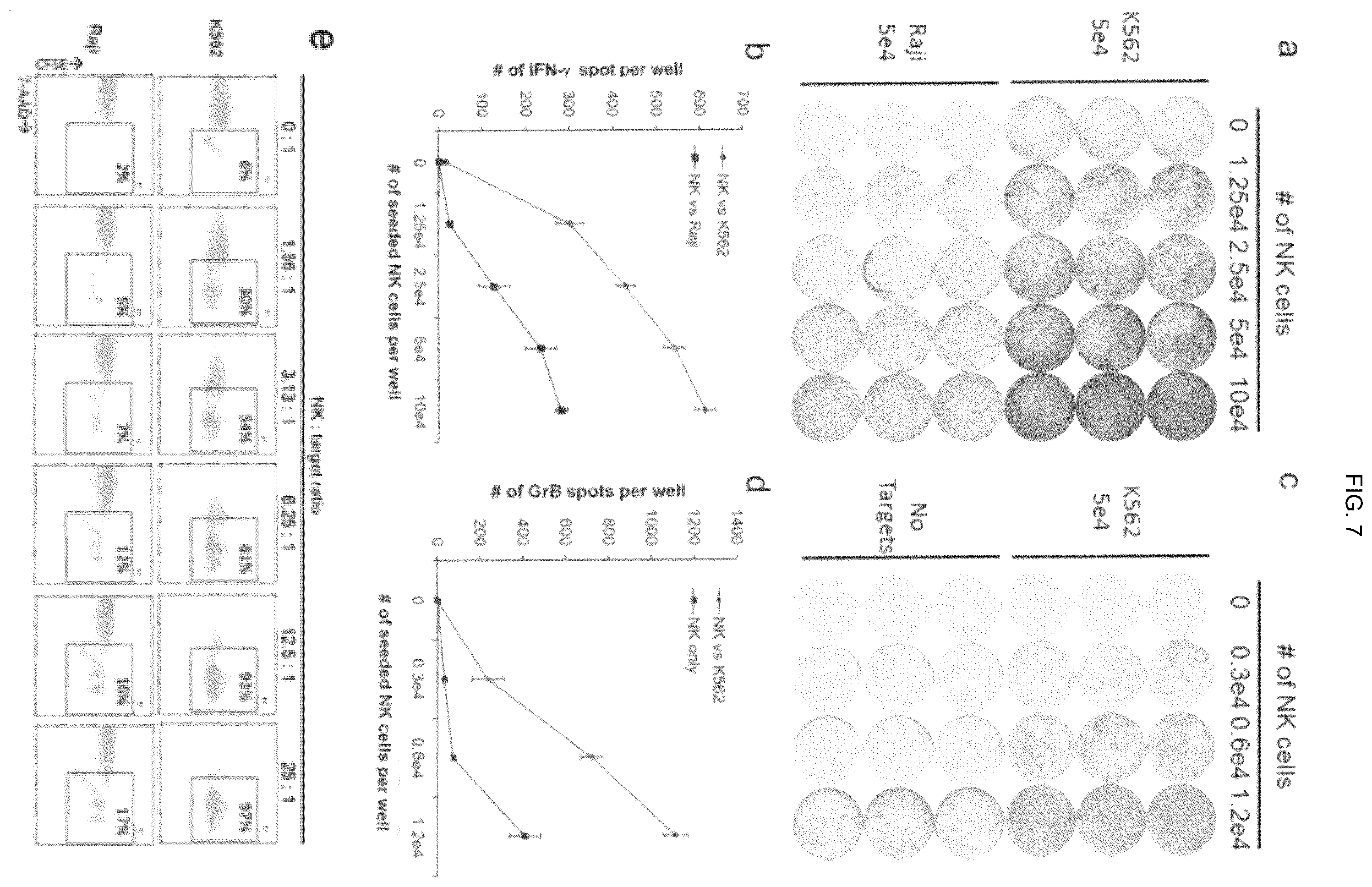 Patent US12410400 Figure 8 – Methods for generating mimetic innate immune cells from pluripotent stem cells