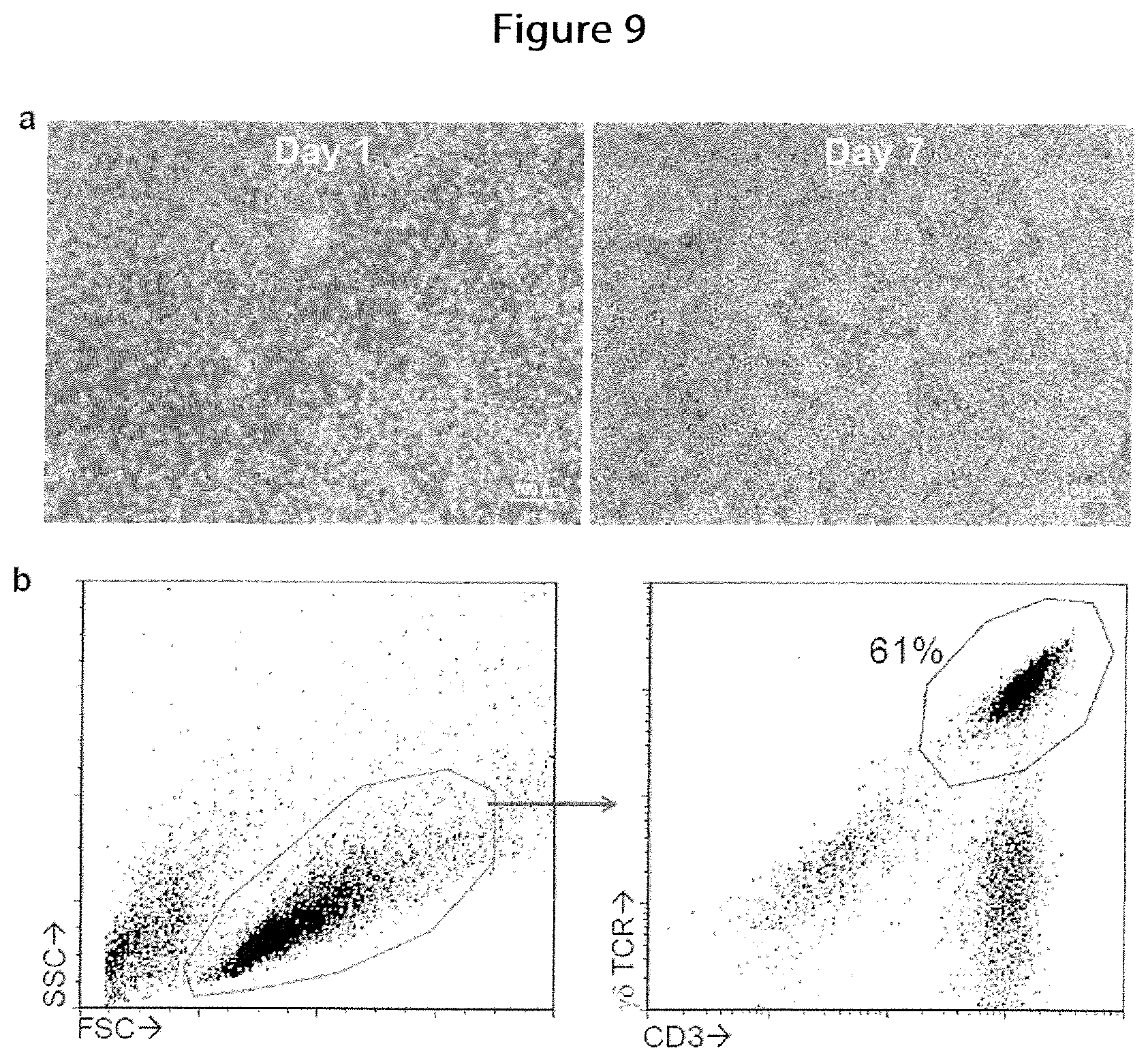 Patent US12410400 Figure 11 – Methods for generating mimetic innate immune cells from pluripotent stem cells